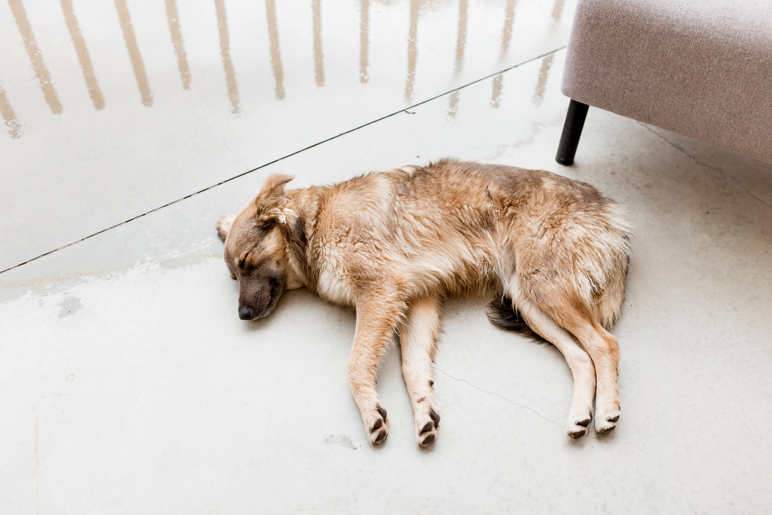 Катерина та Богдан. Ірина Терещук