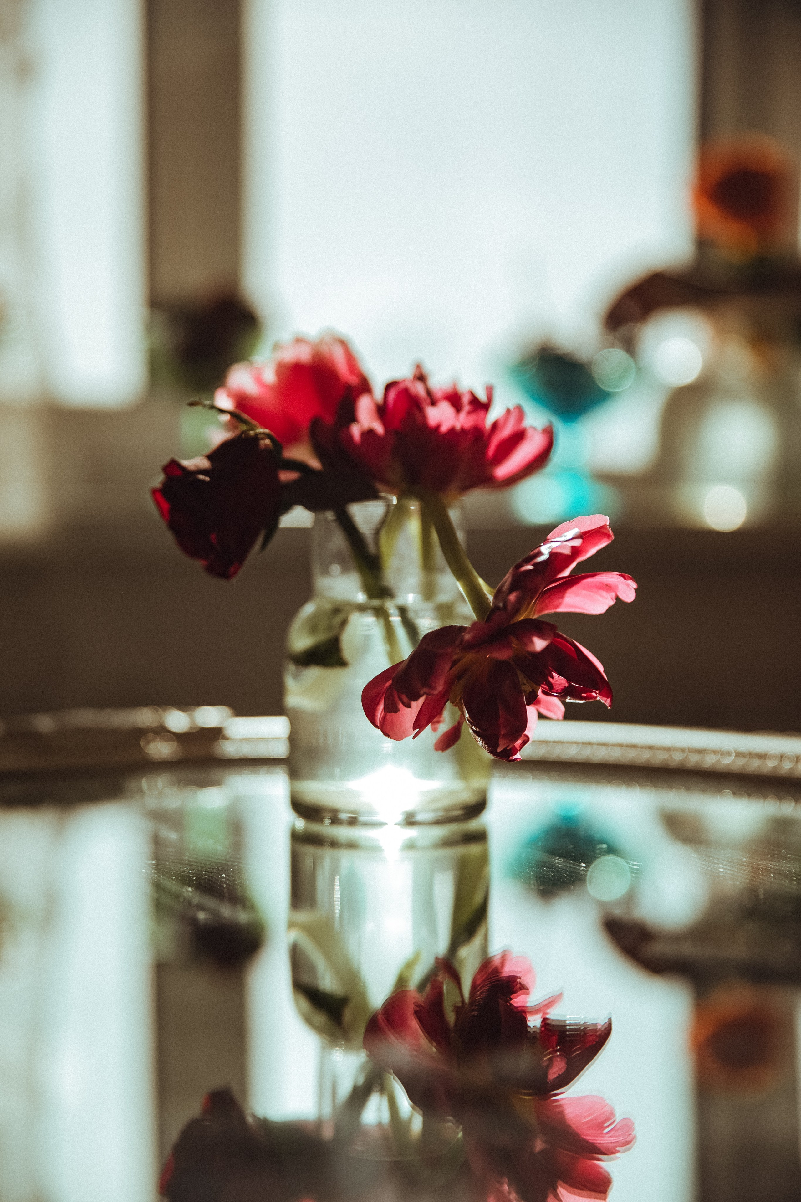 Sarmīte. Sandra Garanca Portrait and event photographer