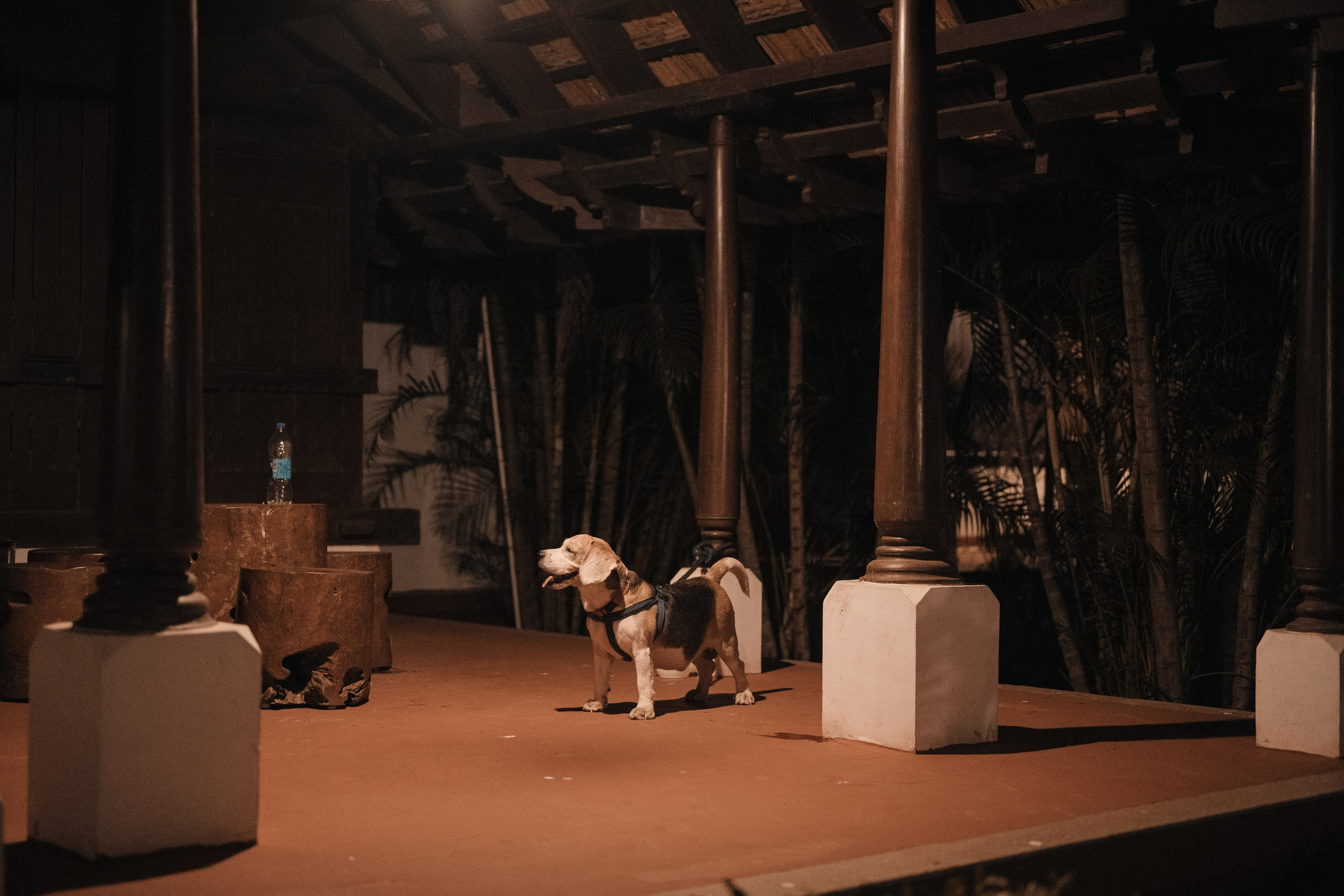 Sagaya & Rakesh. Agam Vizha