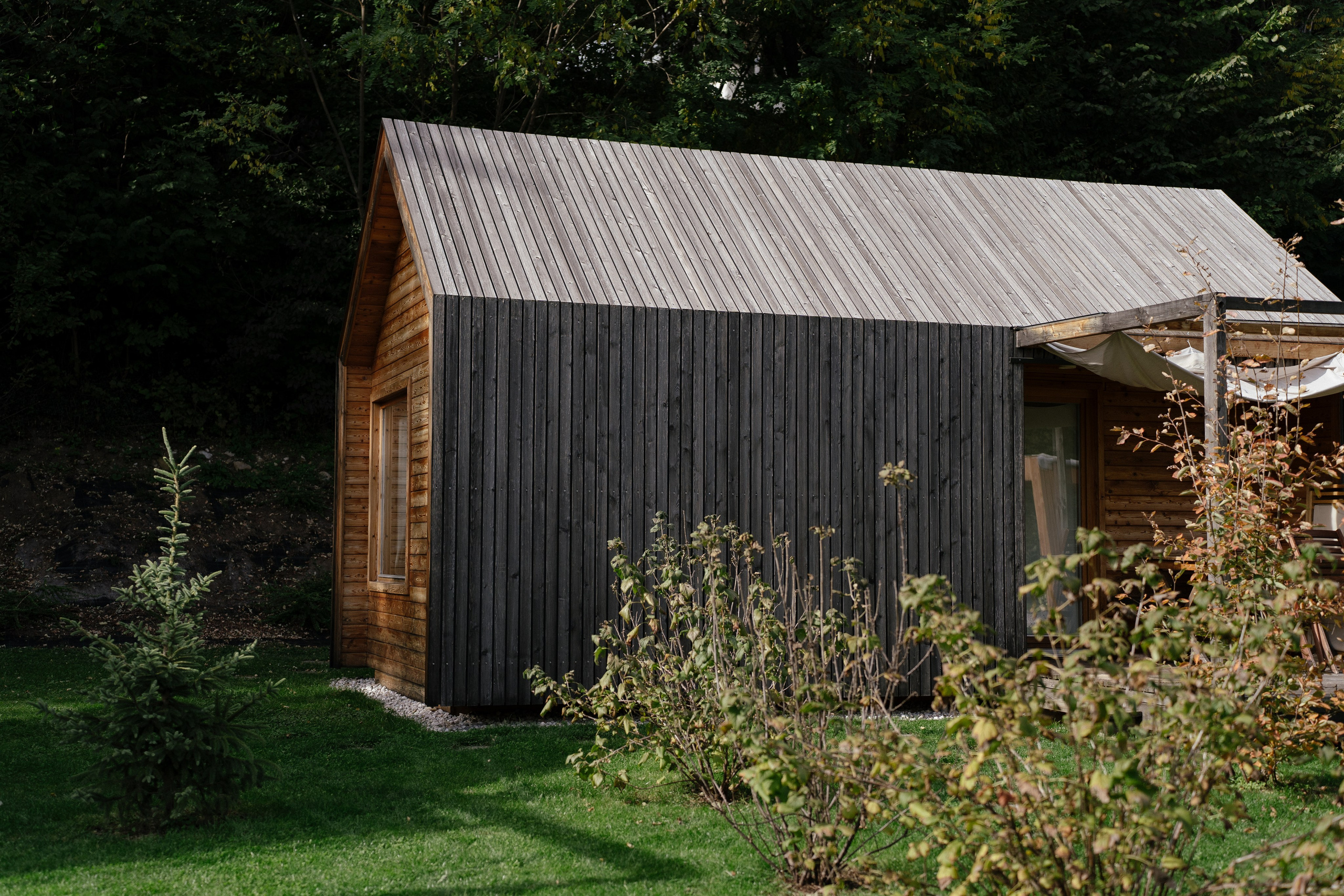 Airbnb. Patricia Morenci — Mountain Adventures for the Wild at Heart