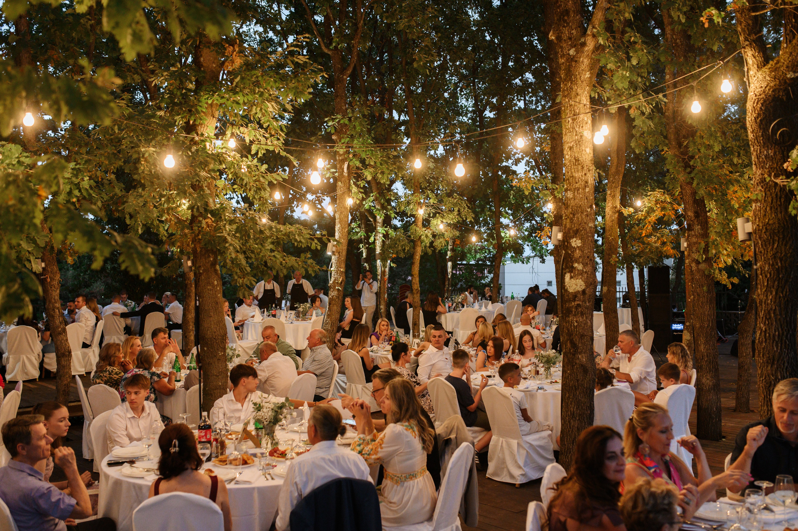 M + V. Josip Vranjković Weddings