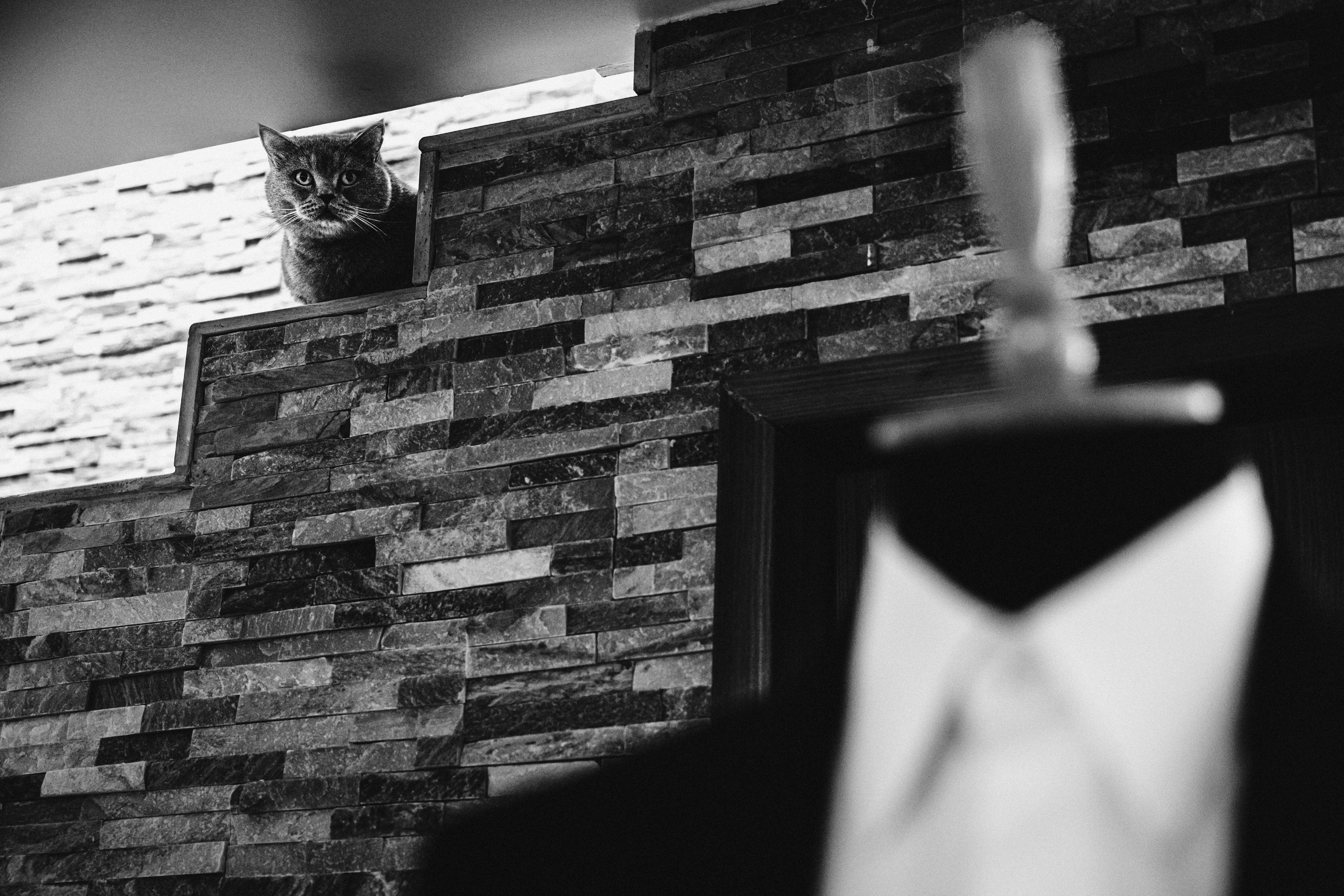 Nunta. Fotograf și Videograf Nuntă & Evenimente | Pixtory - Constanta