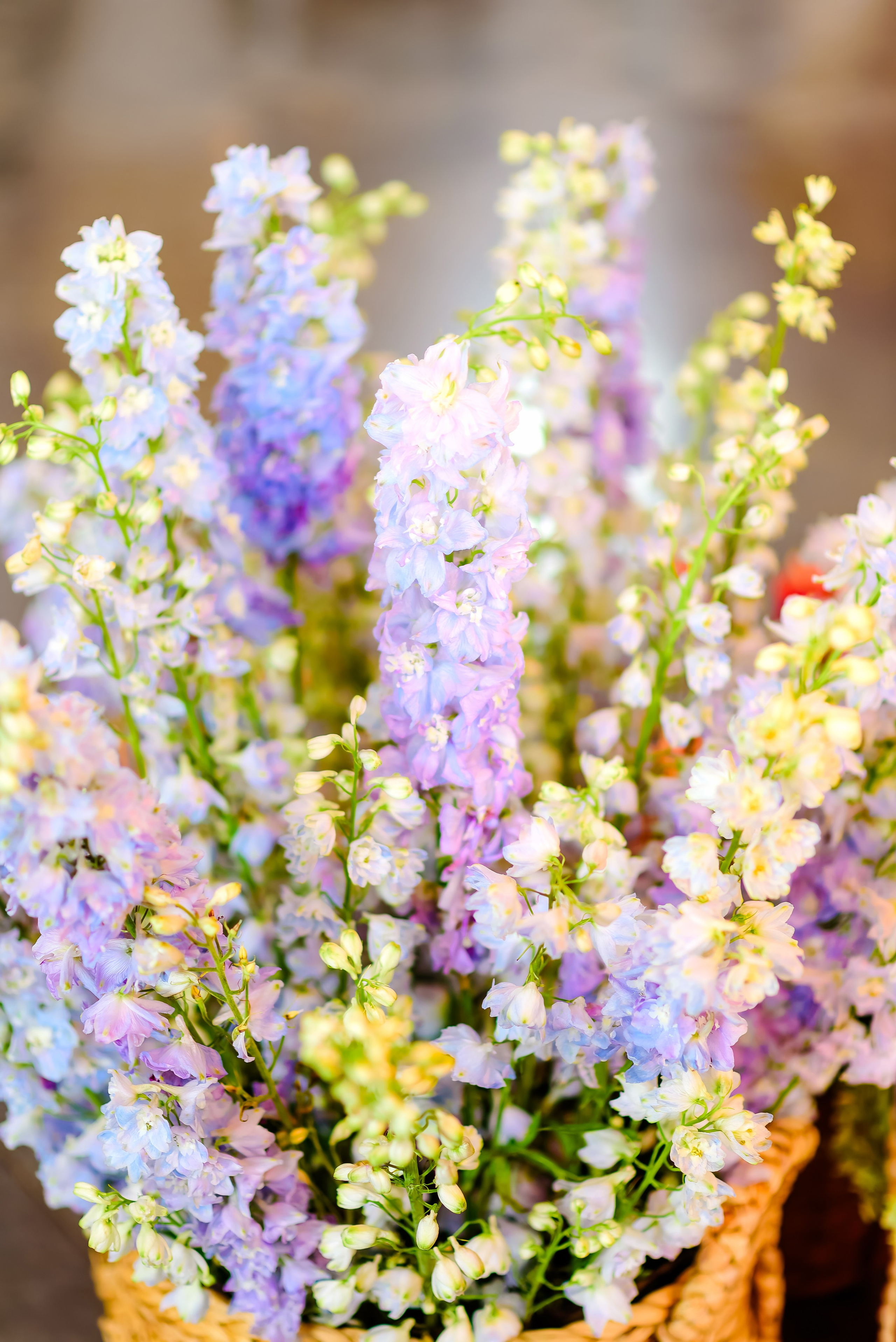 Dorinda + Gil’s Vow Renewal. Alexandria Danielle Photography | Fort Wayne & Indianapolis Wedding Photographer