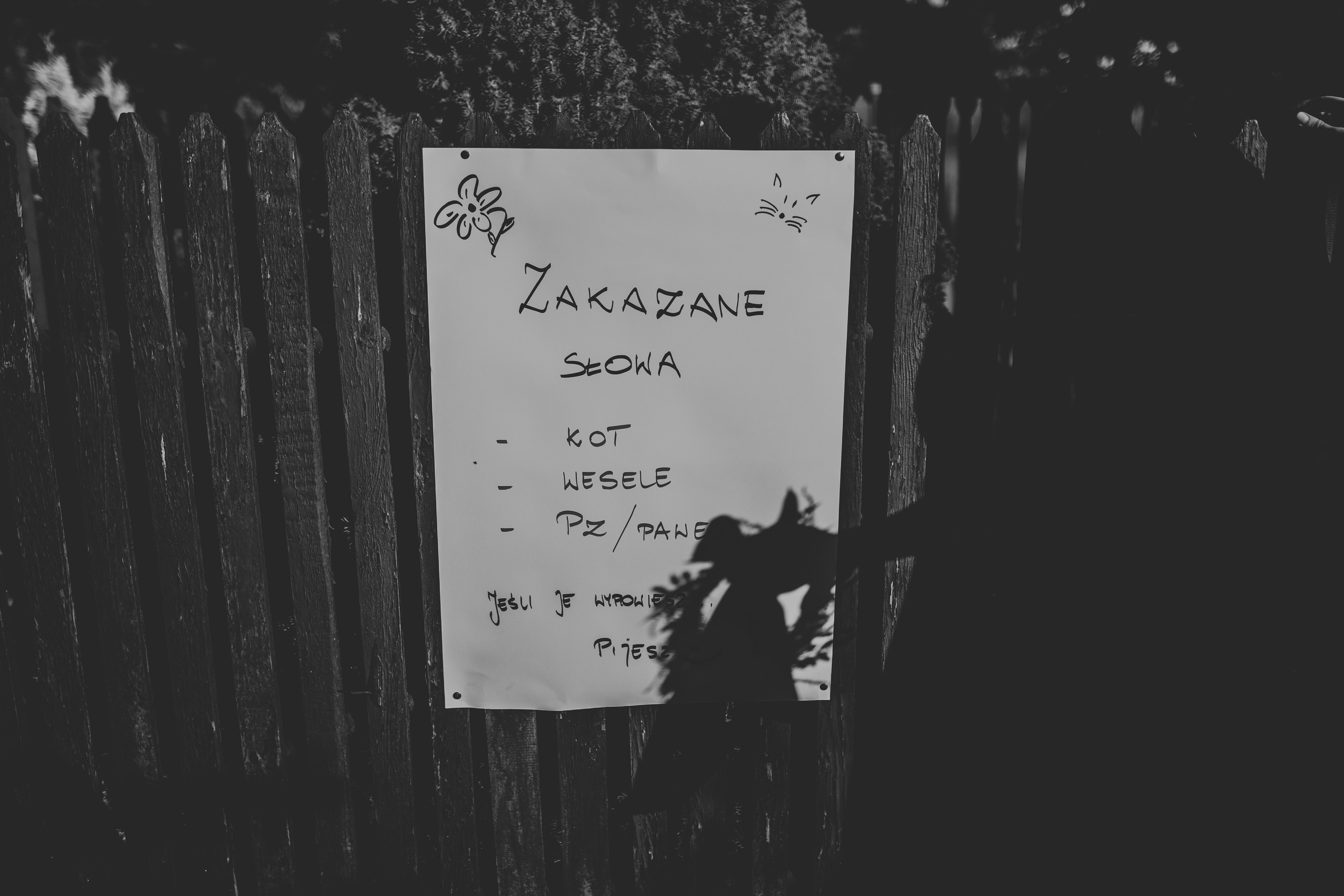 Wieczór panieński Aleksandry. Karkowskafoto - fotografia miłości