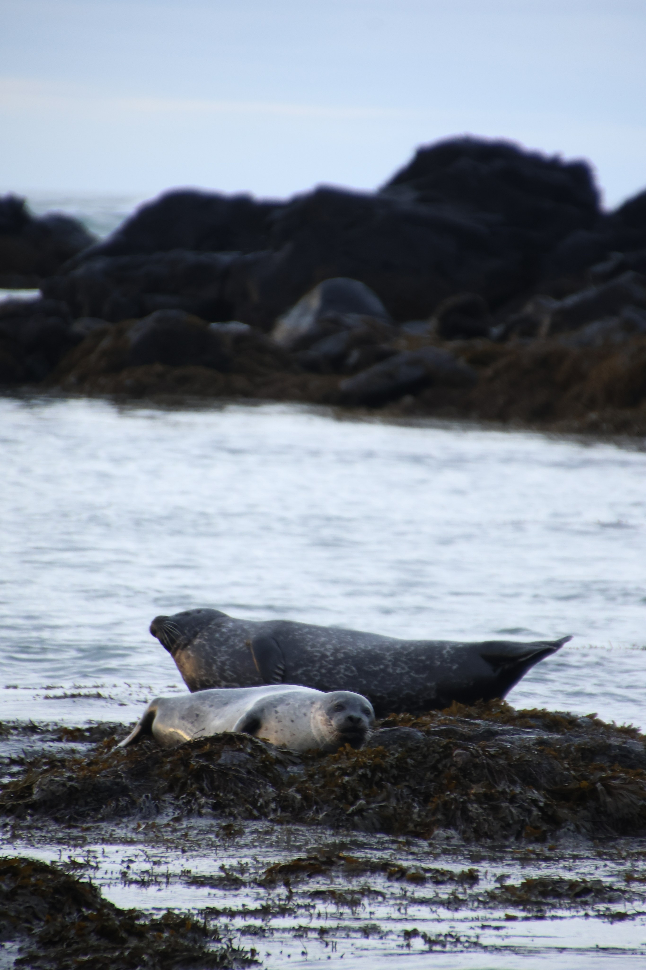 Iceland 2025. Marina, Fotograf aus Nürnberg