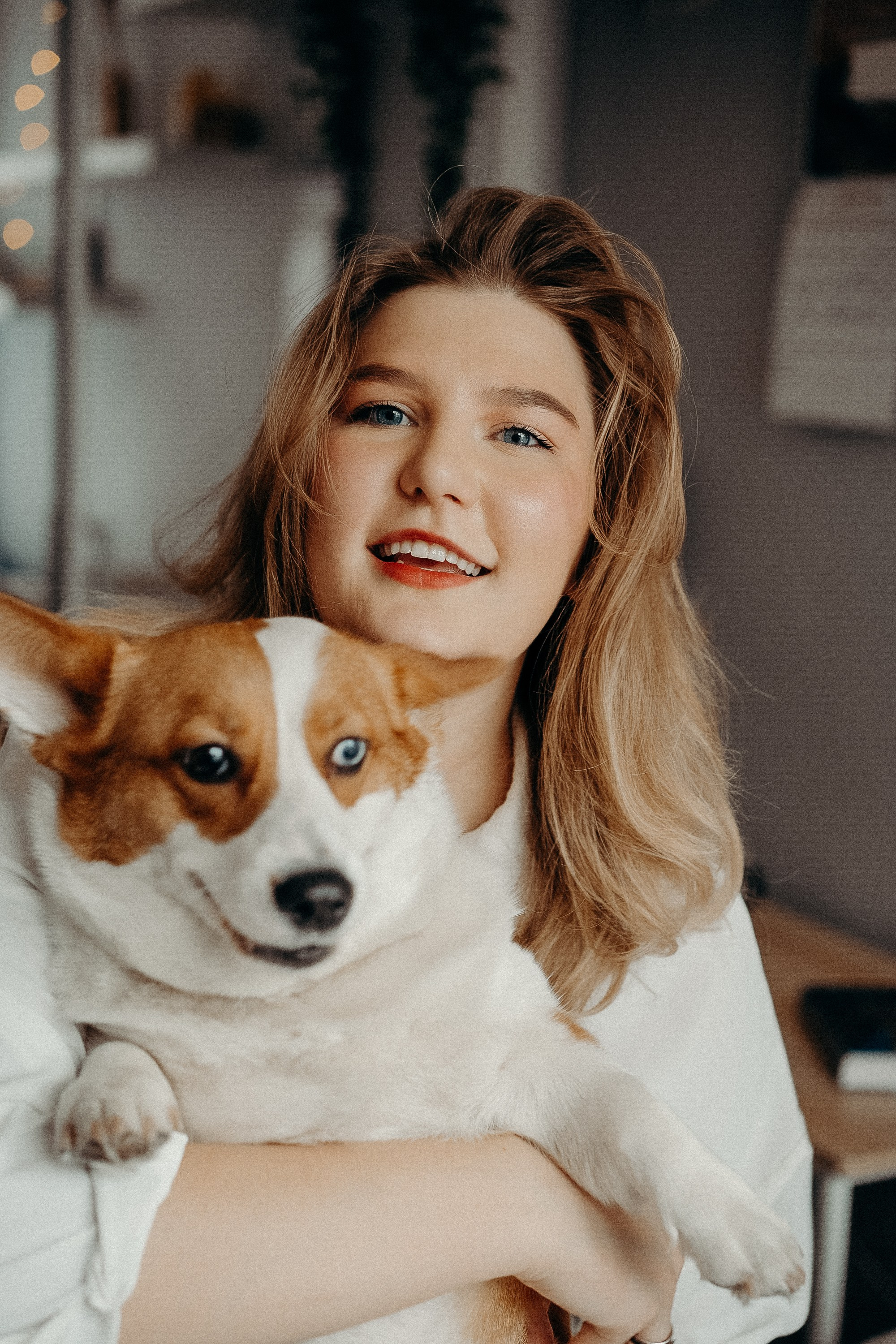 Photos of a little corgi and her owner. Portrait and wedding photographer in New York