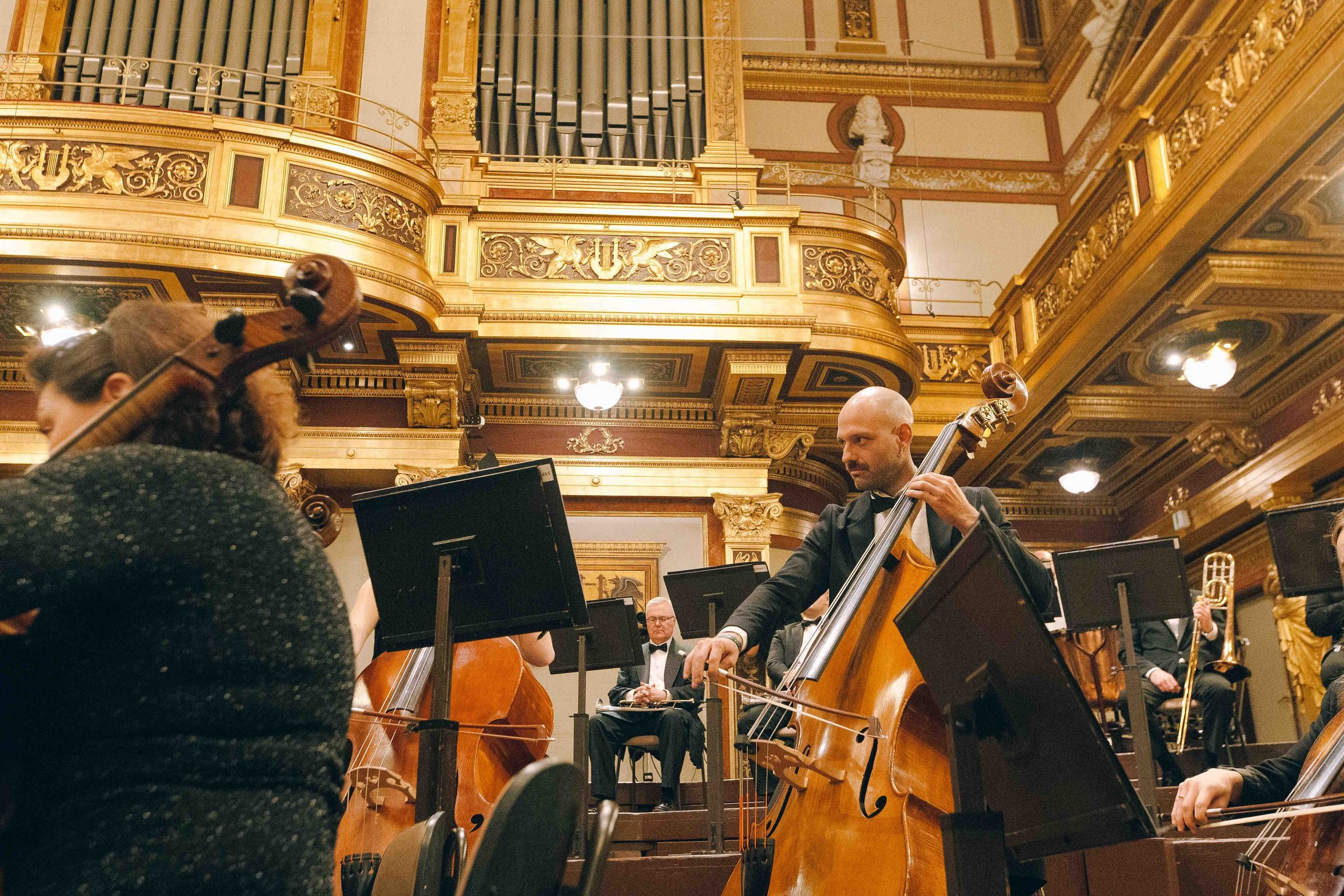 MUSIKVEREIN (VIENNA). Wedding&Event photographer Ismail Rzayev in Baku