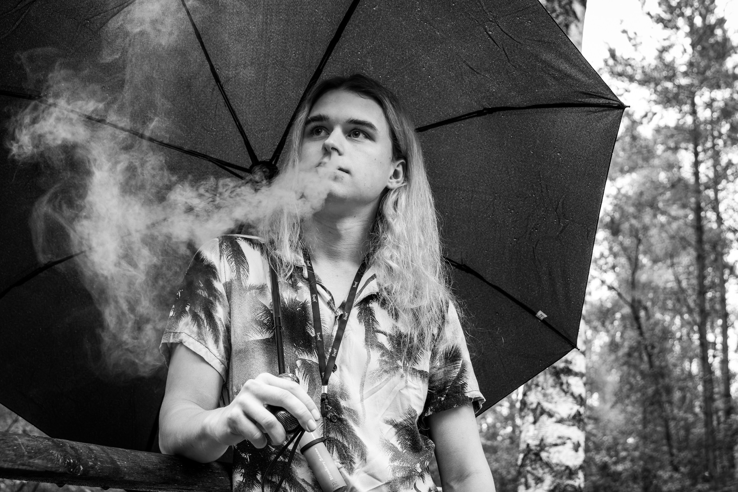 Mets, vihm ja jahedus (Dimitry). Nebula 25 — Fotod teie hingele