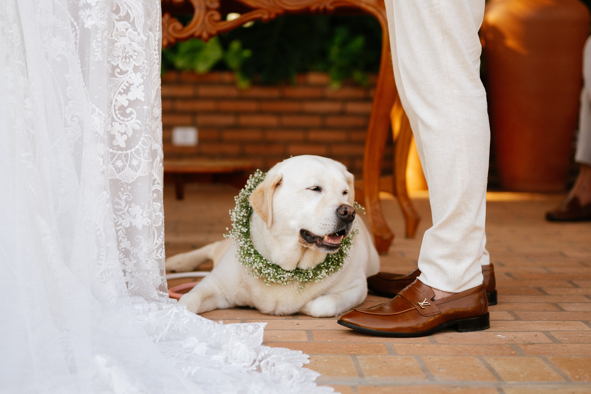 Julia & Alvaro | Fotografia de Casamento no Palmeiras Eventos de Limeira