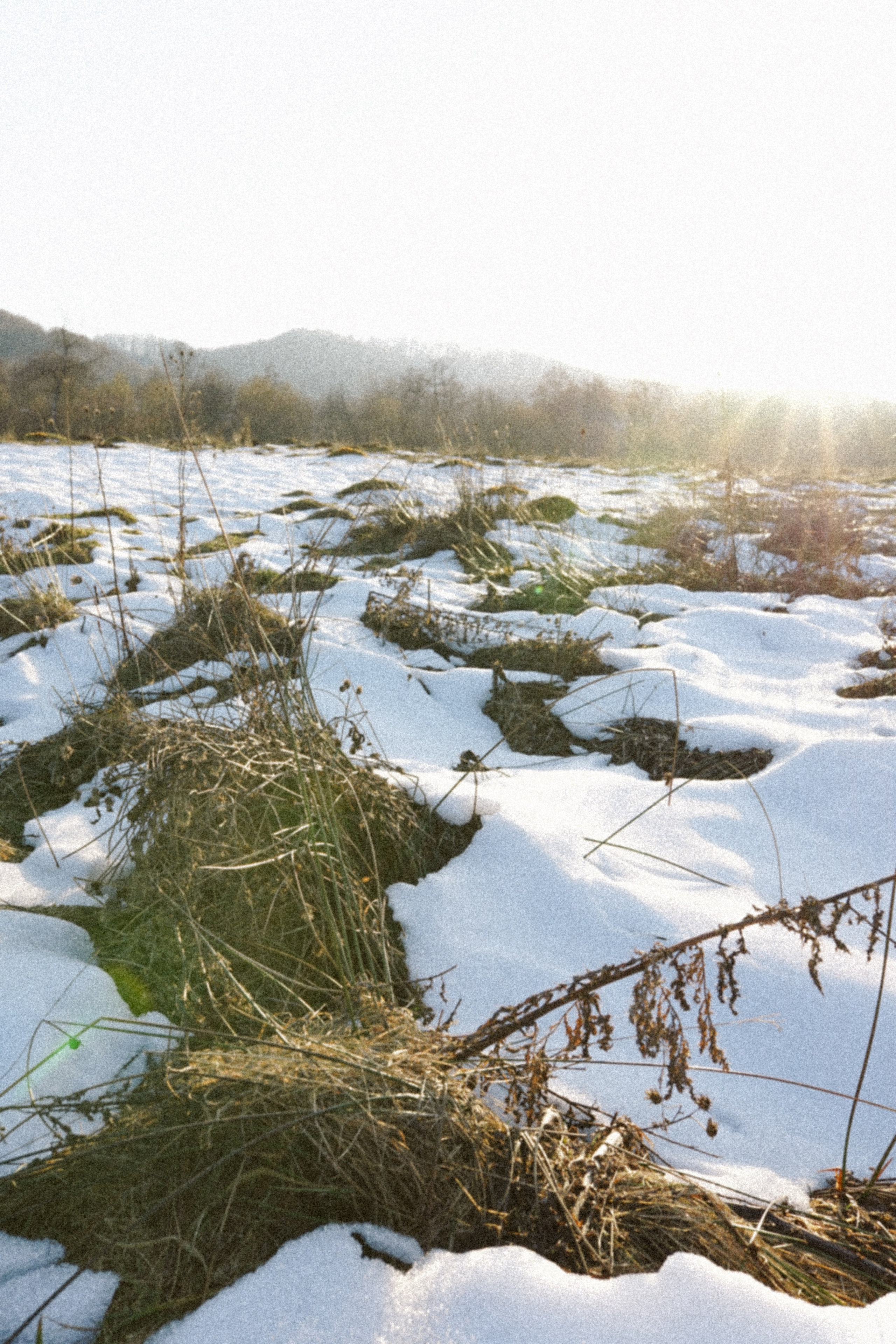 Mărțișorul x Mes Amis: O Poveste de Primăvară | Mădălina Beda. Madalina Beda- Artist vizual, fotograf, doula la nastere, consultant babywearing Brasov si in toata tara