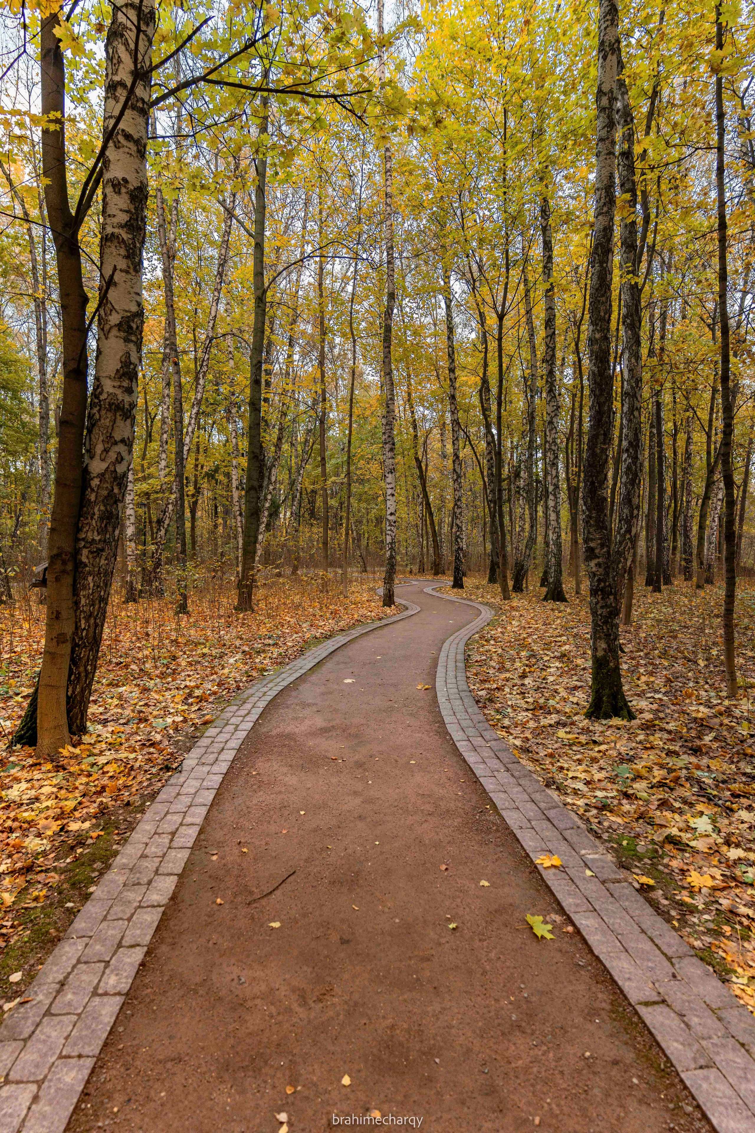 Фото. Брахим — фотограф