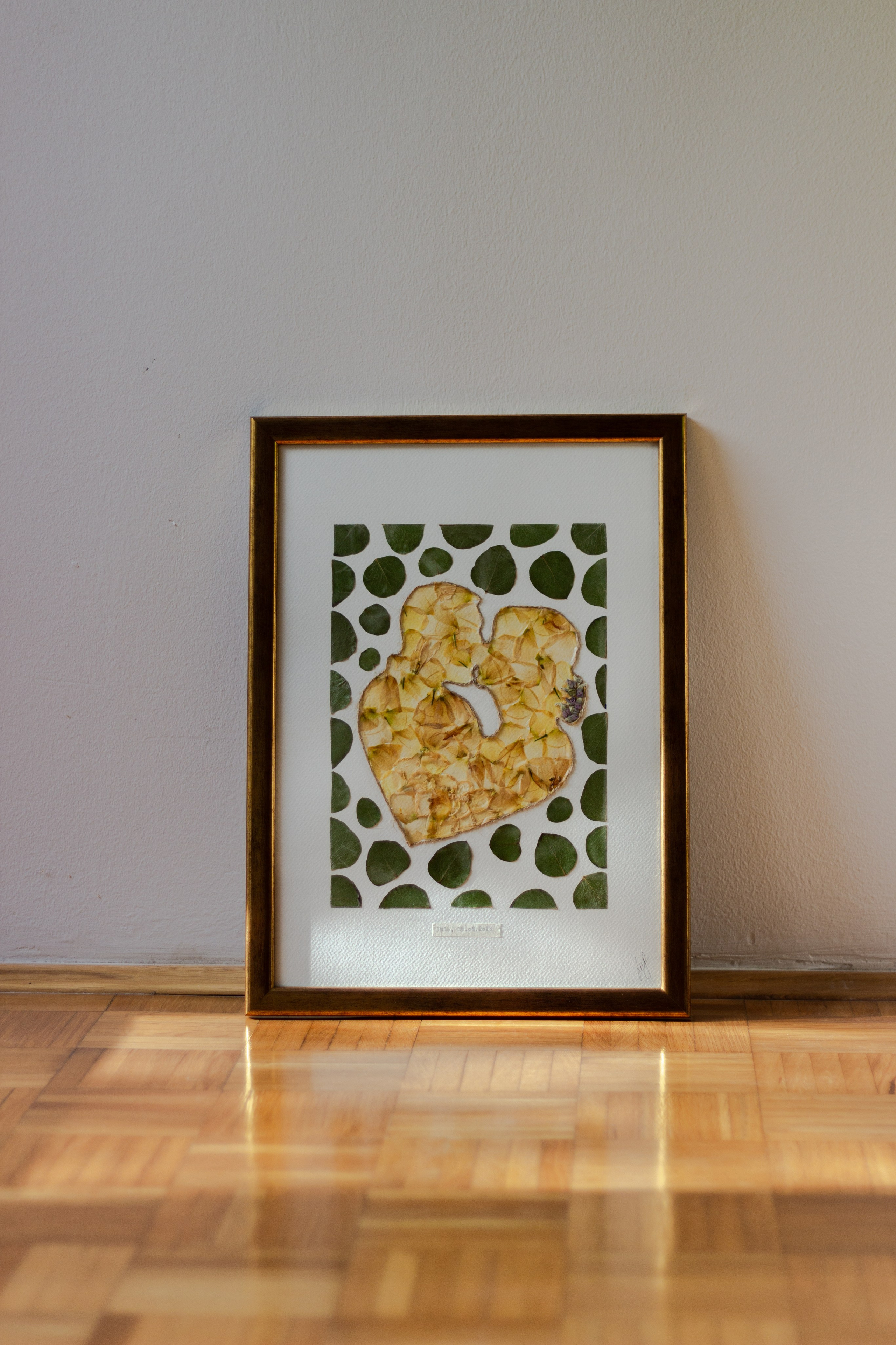 Herbarij, presa, okvir, slika, ručni rad, herbarium, art, umjetnost, home made, artistic