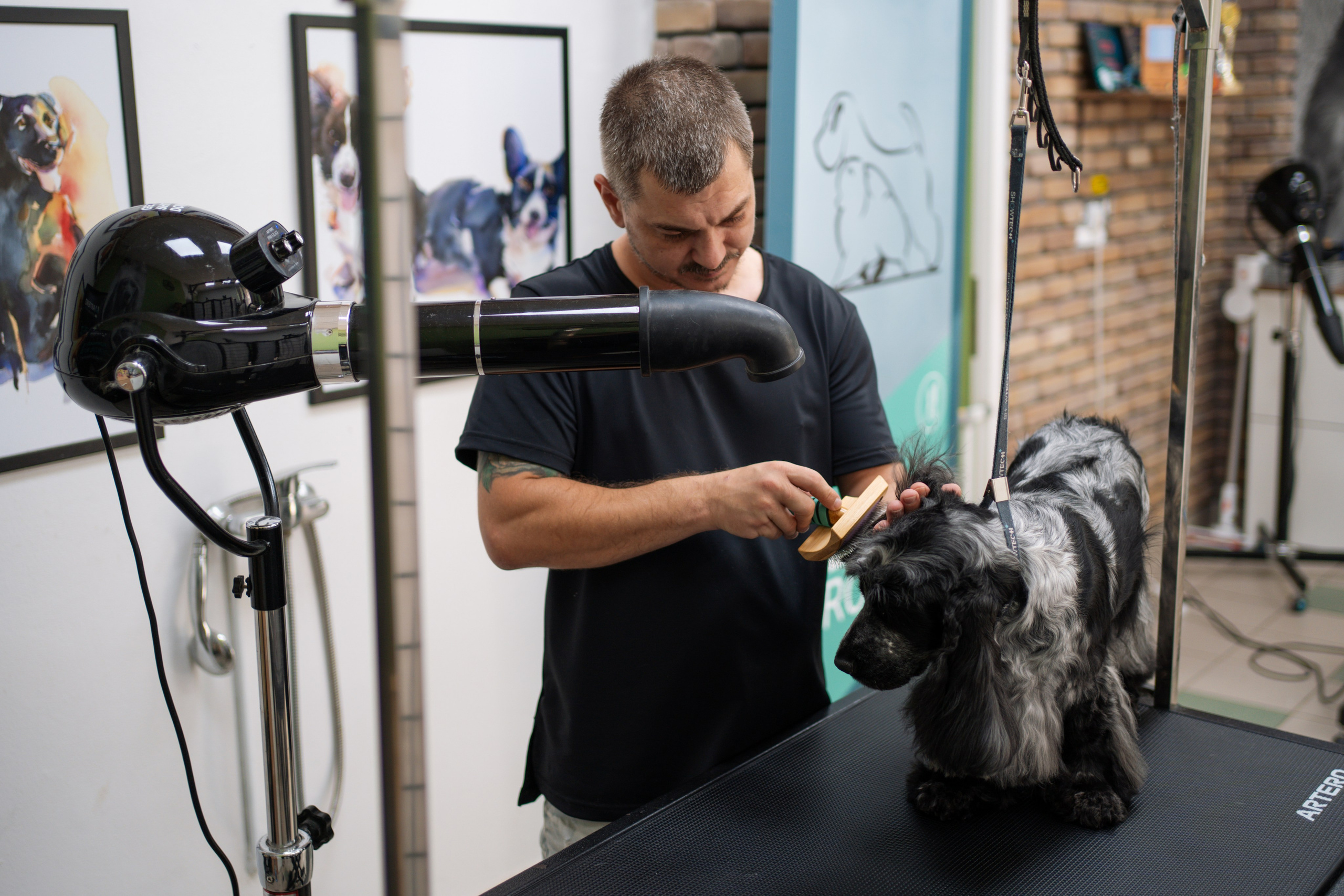 PetGroom Timisoara. Cozac Cristian Photographer