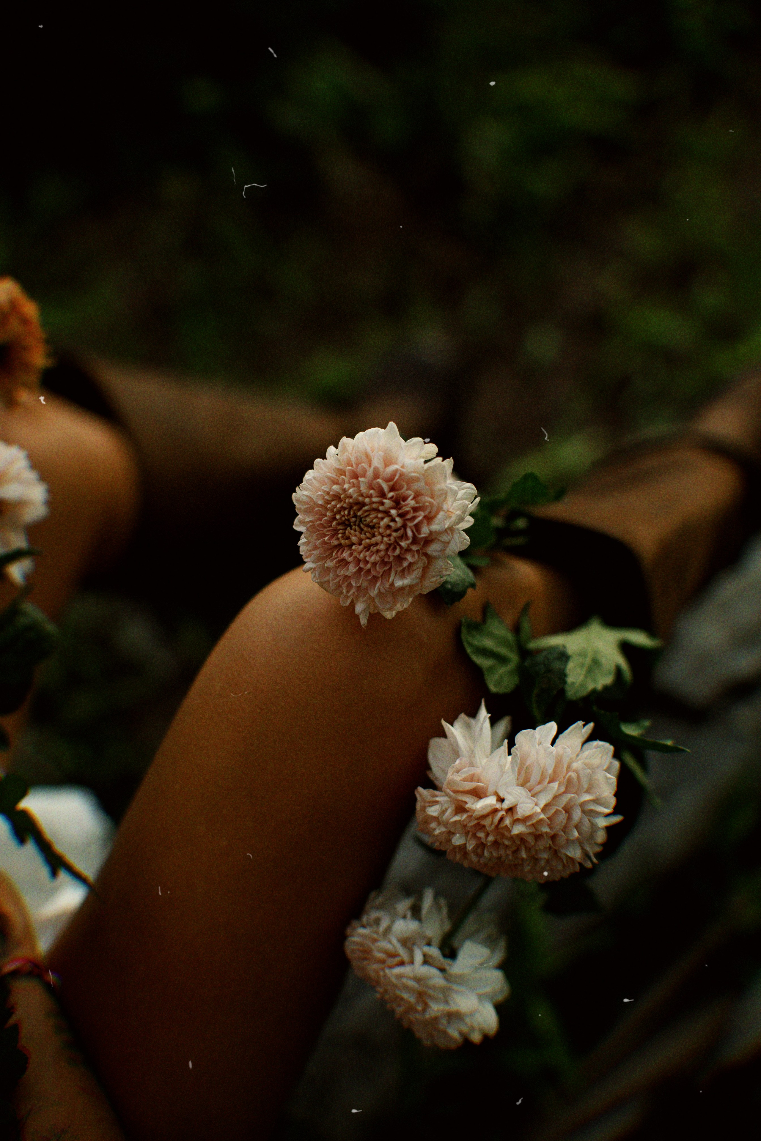 Kate. Фотограф Бали Получи лучшие фотографии с острова