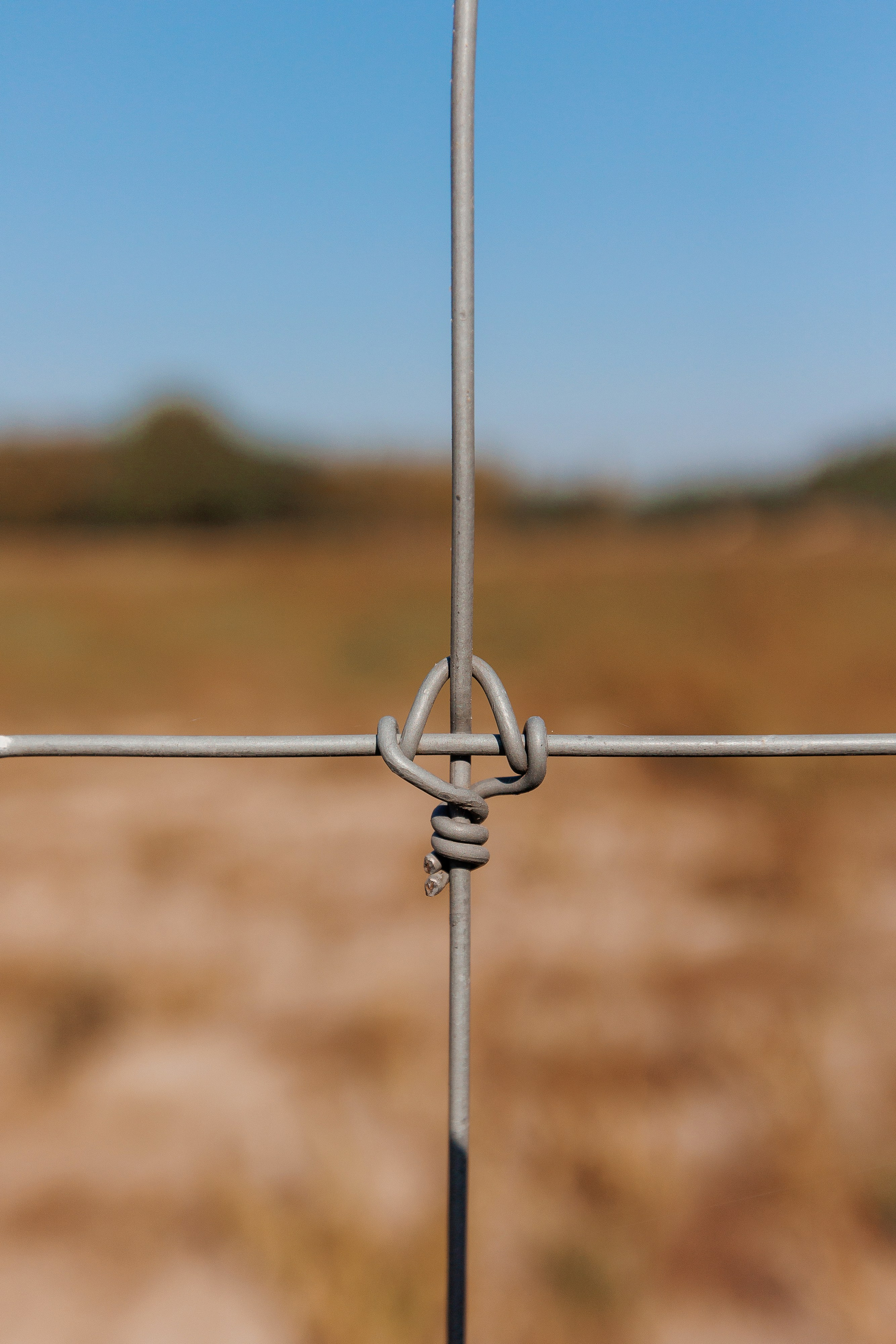 Екопарк Аміла. Ірина Терещук