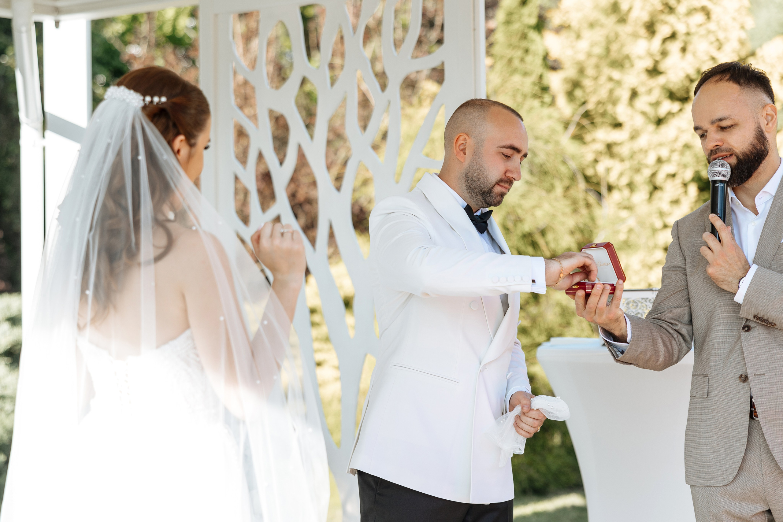 Darina Artem. Ірина Терещук