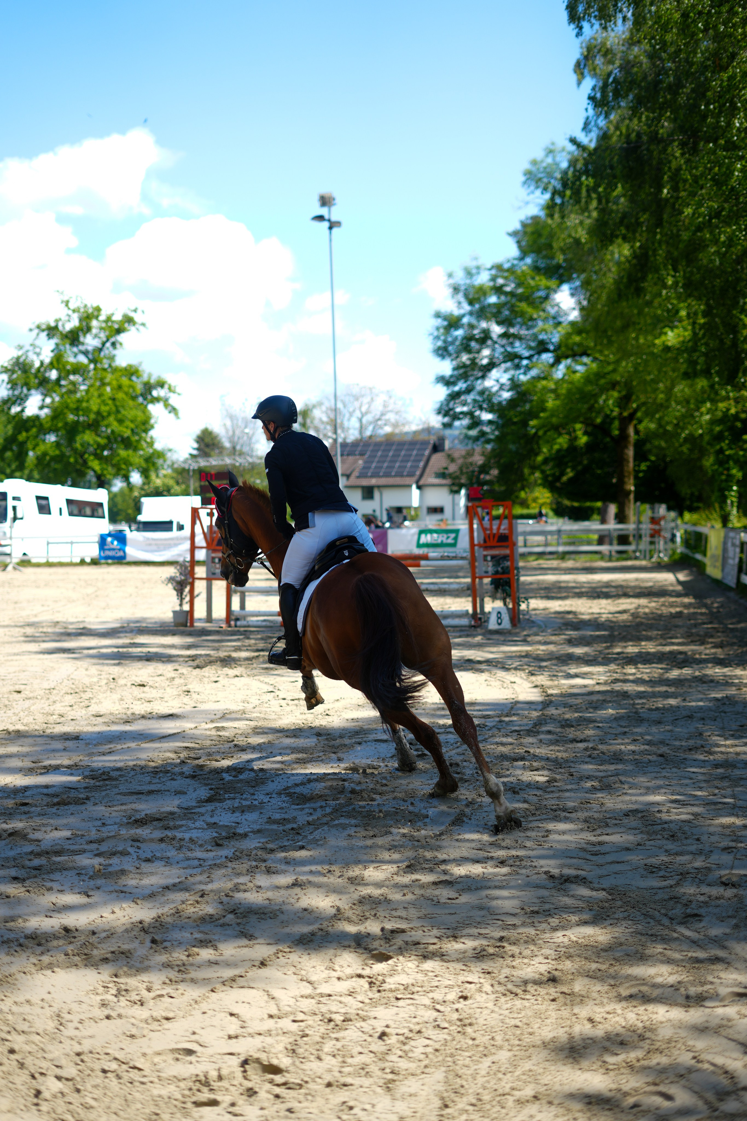 Equestrian Competition