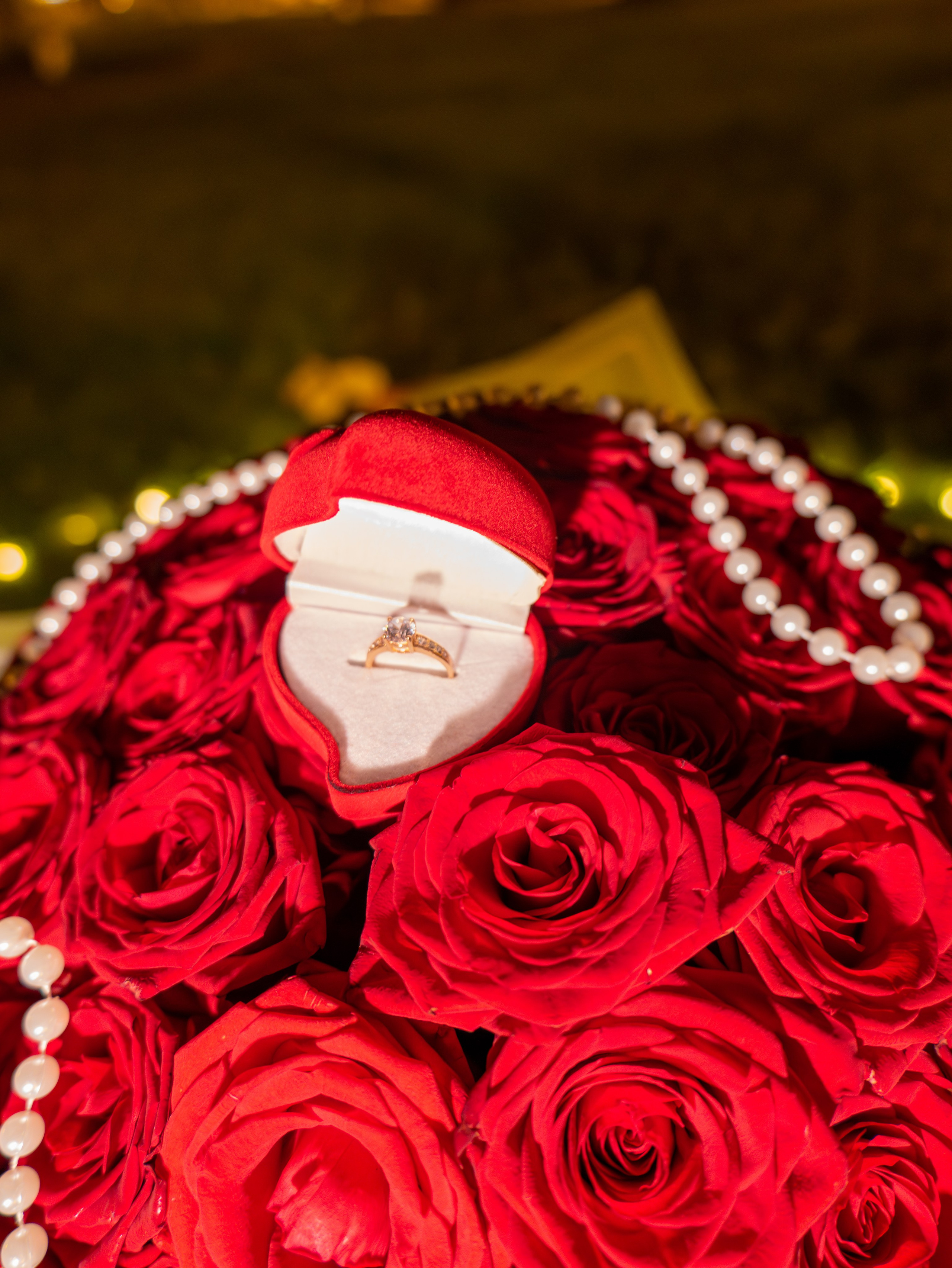 Alina&Ion. Fotograful și Cameramanul familiei dvs în Franța Paul Photographer