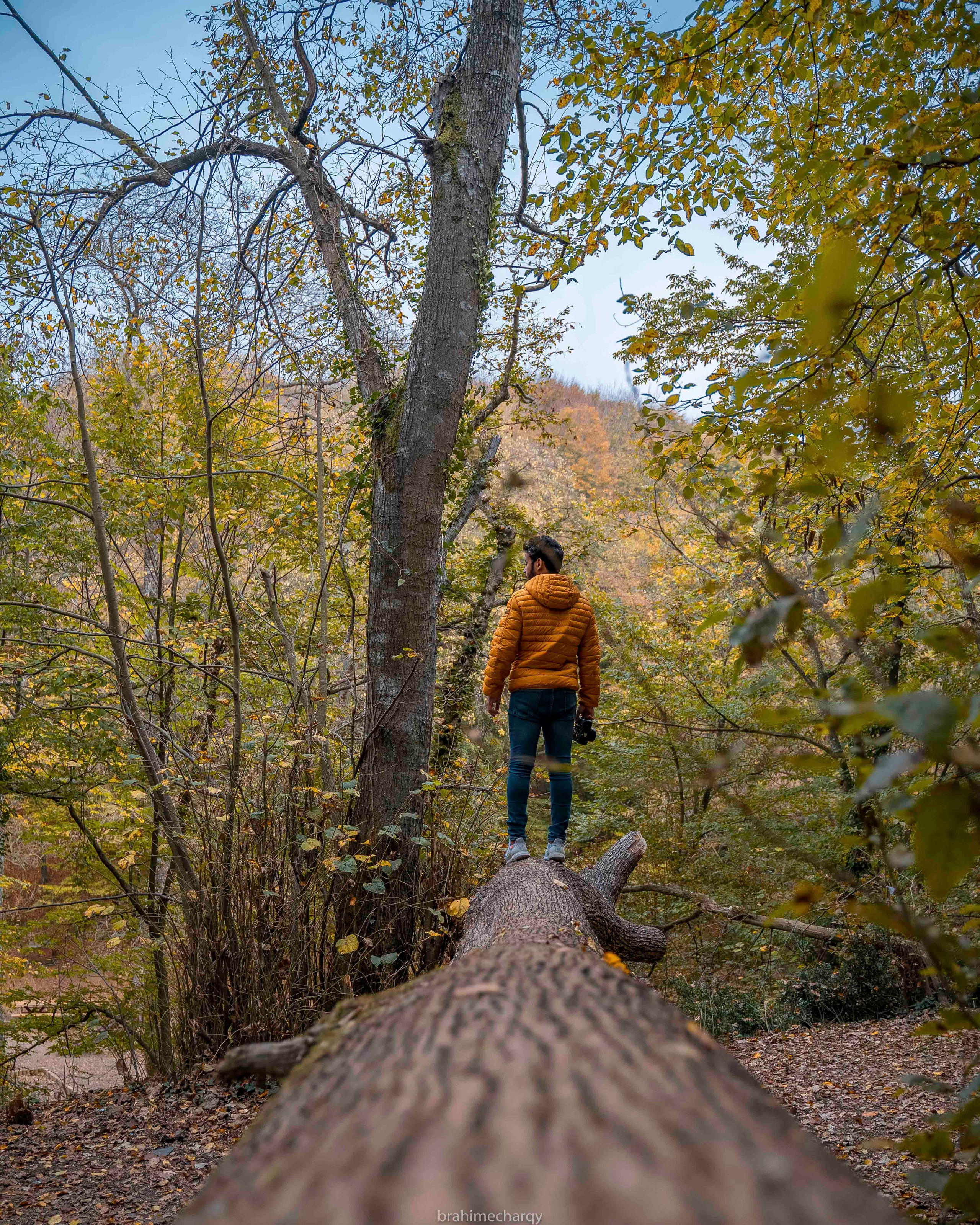 Фото. Брахим — фотограф