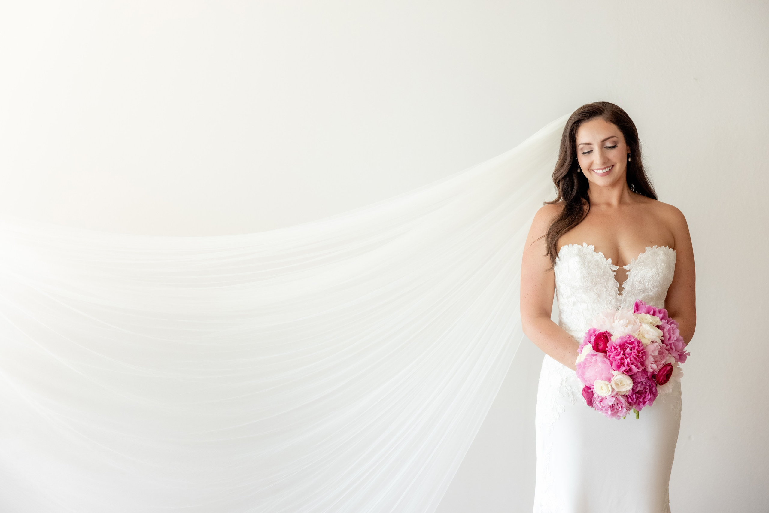 Angelica & Conor. Wedding Photo & Video