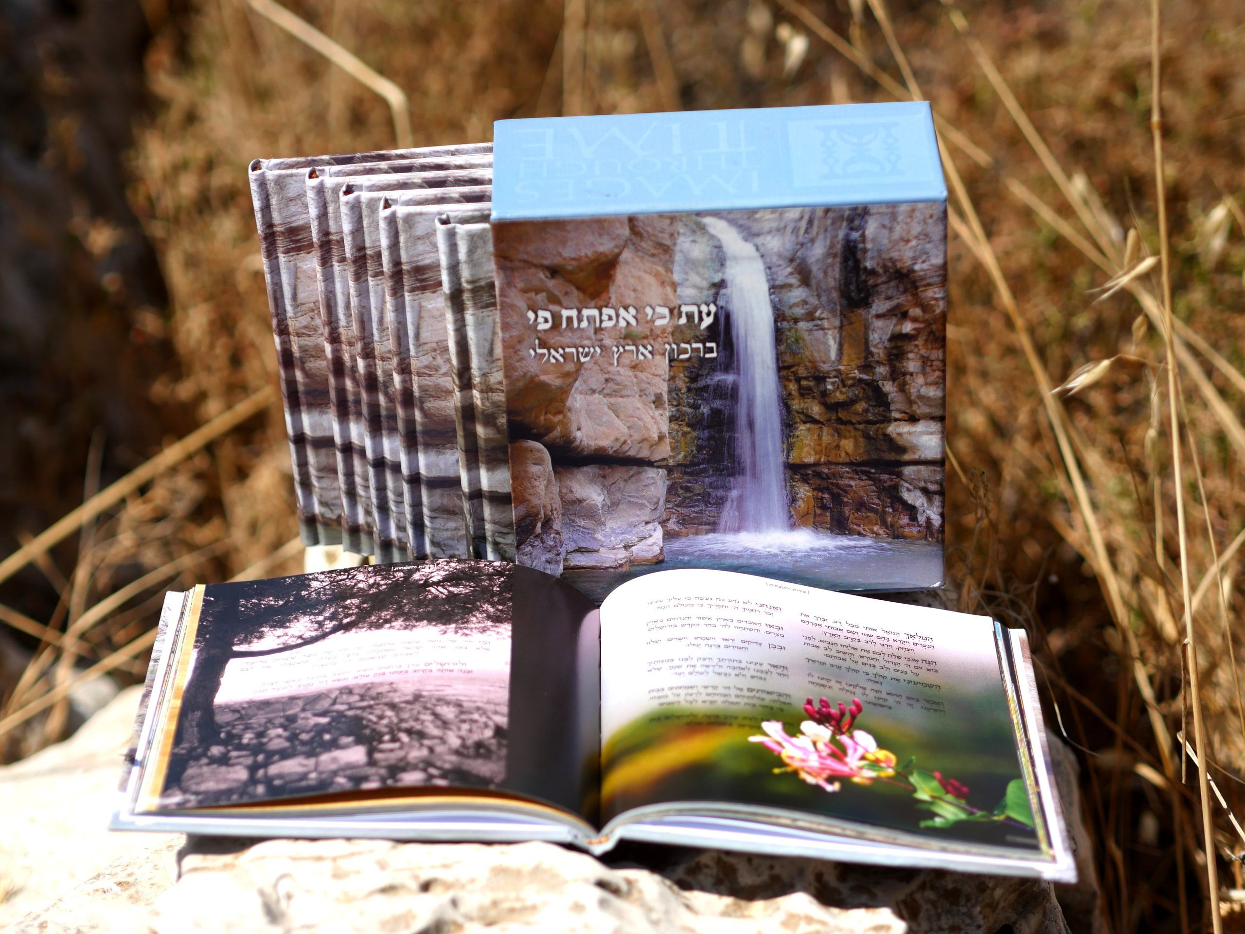 Books. Portrait & Event photographer in Israel — Rebecca Kowalsky