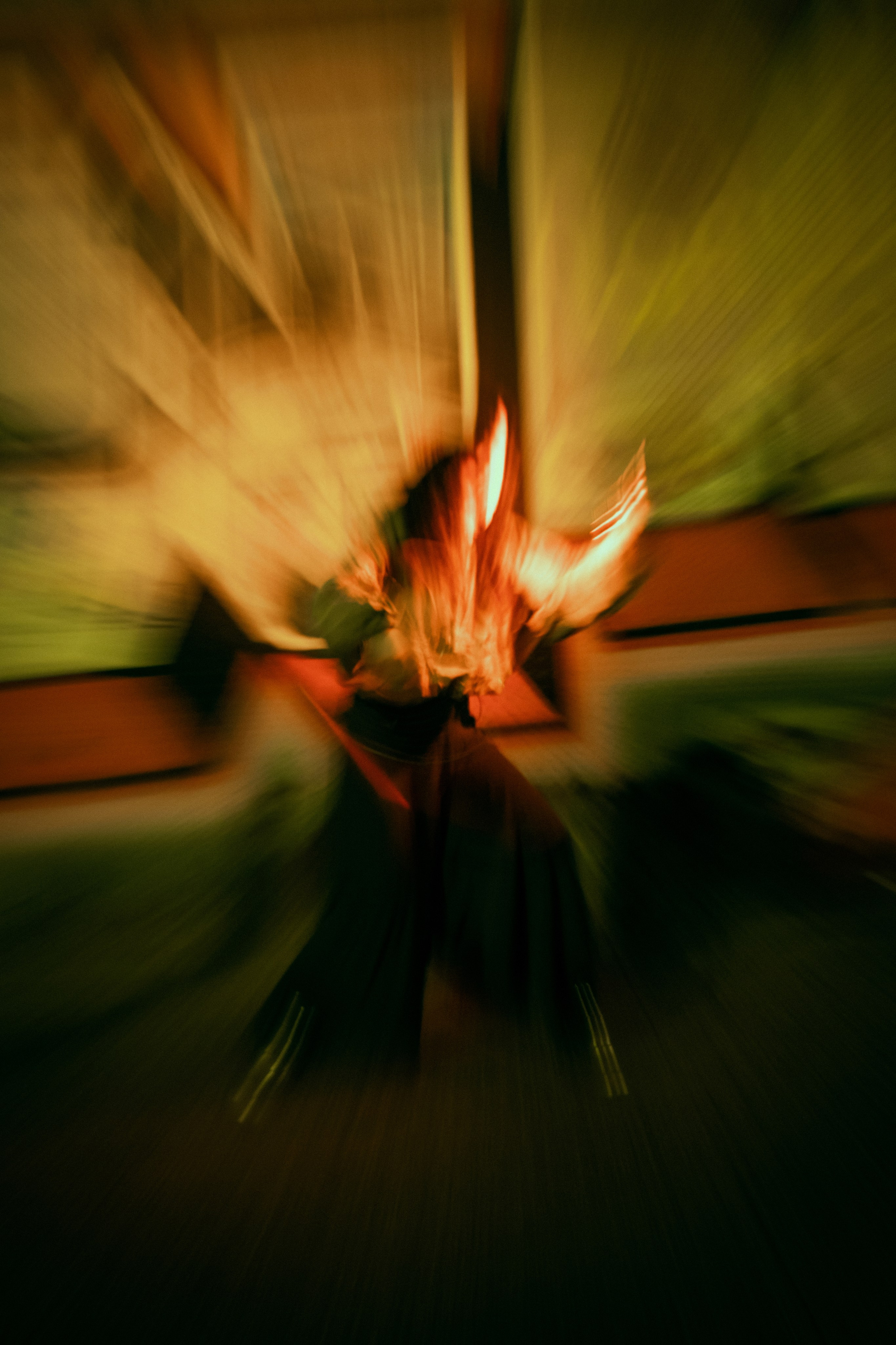 047. Palagina Ksusha, photographer in NY