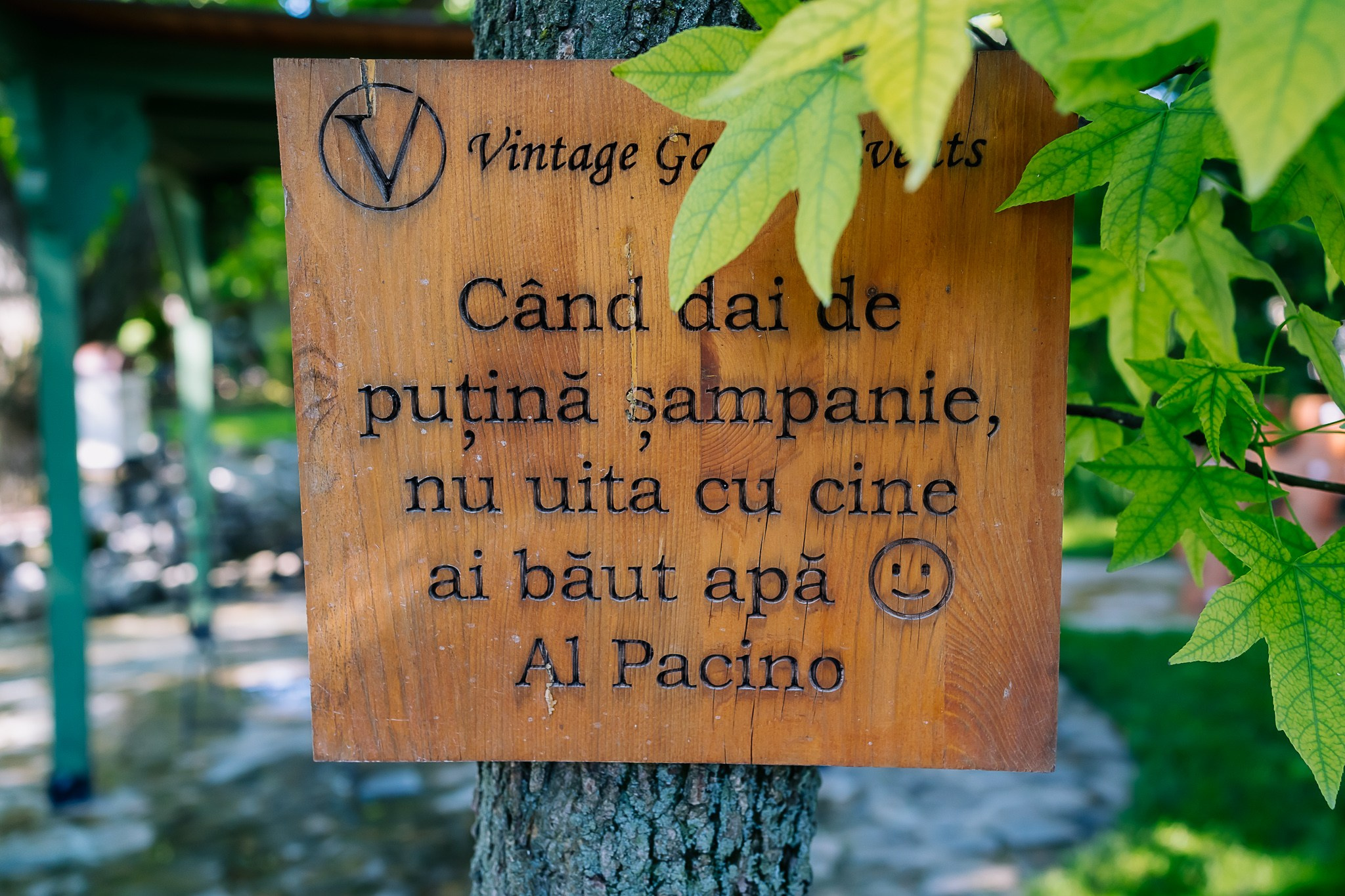 Cristina & Alex. Wedding and Event Photographer— Bucharest, Romania