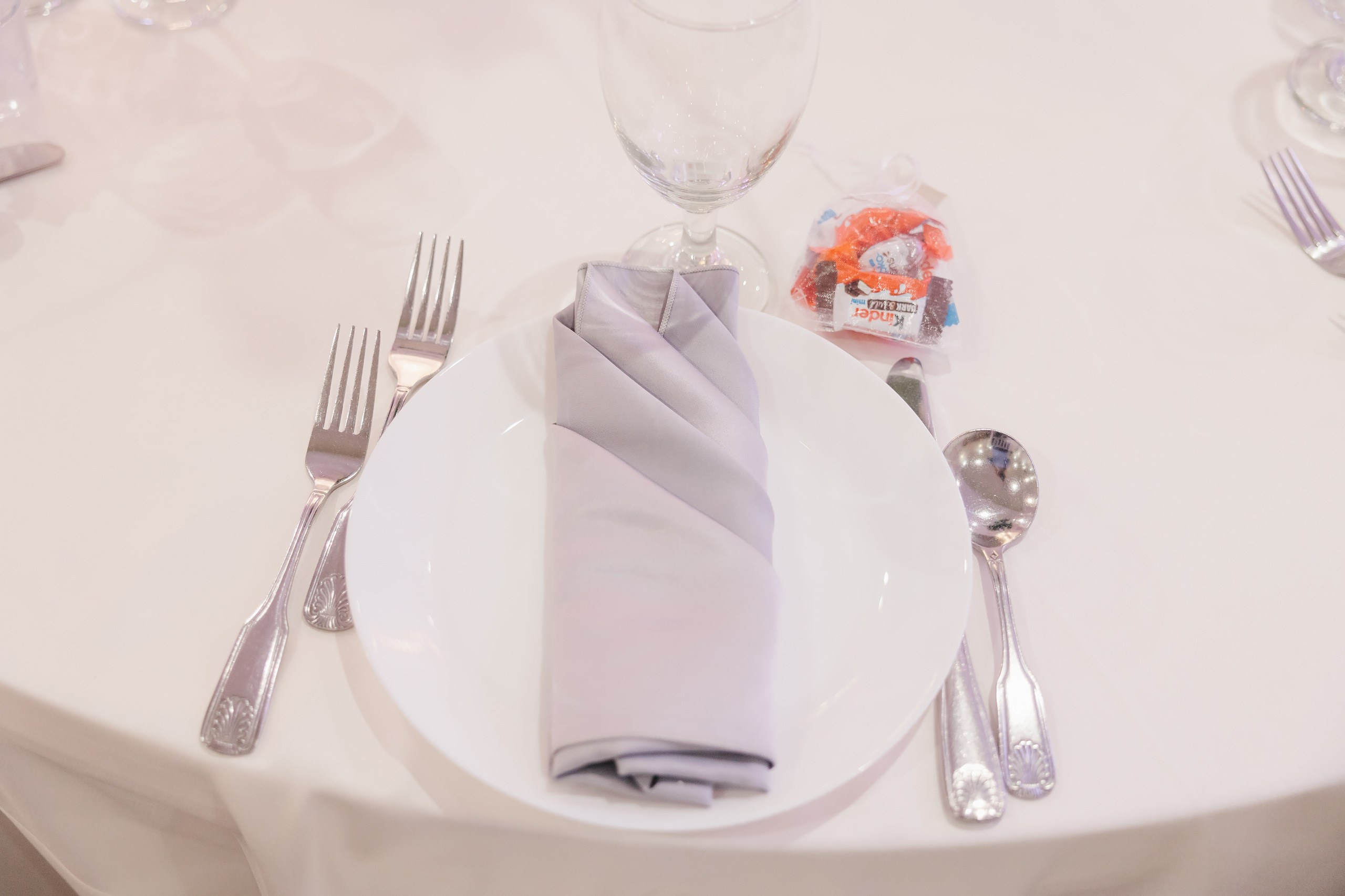 31.08.2024 Wedding. Wedding family event photographer in Chicago Nick Yushevich