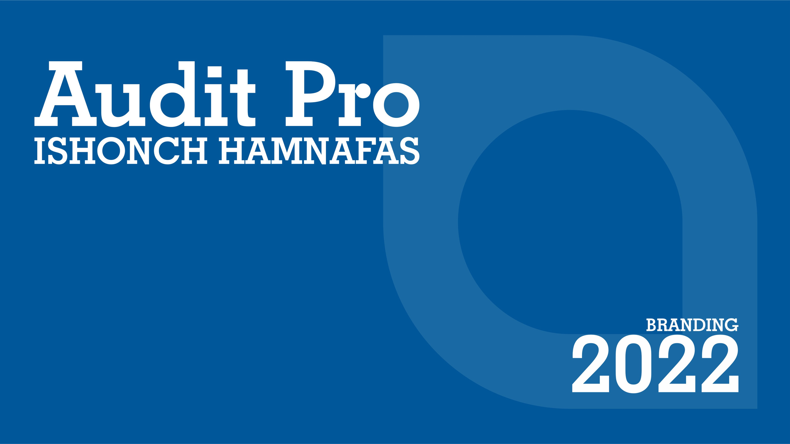 Audit Pro - Logotip. Dirov — Hayot Khodirov