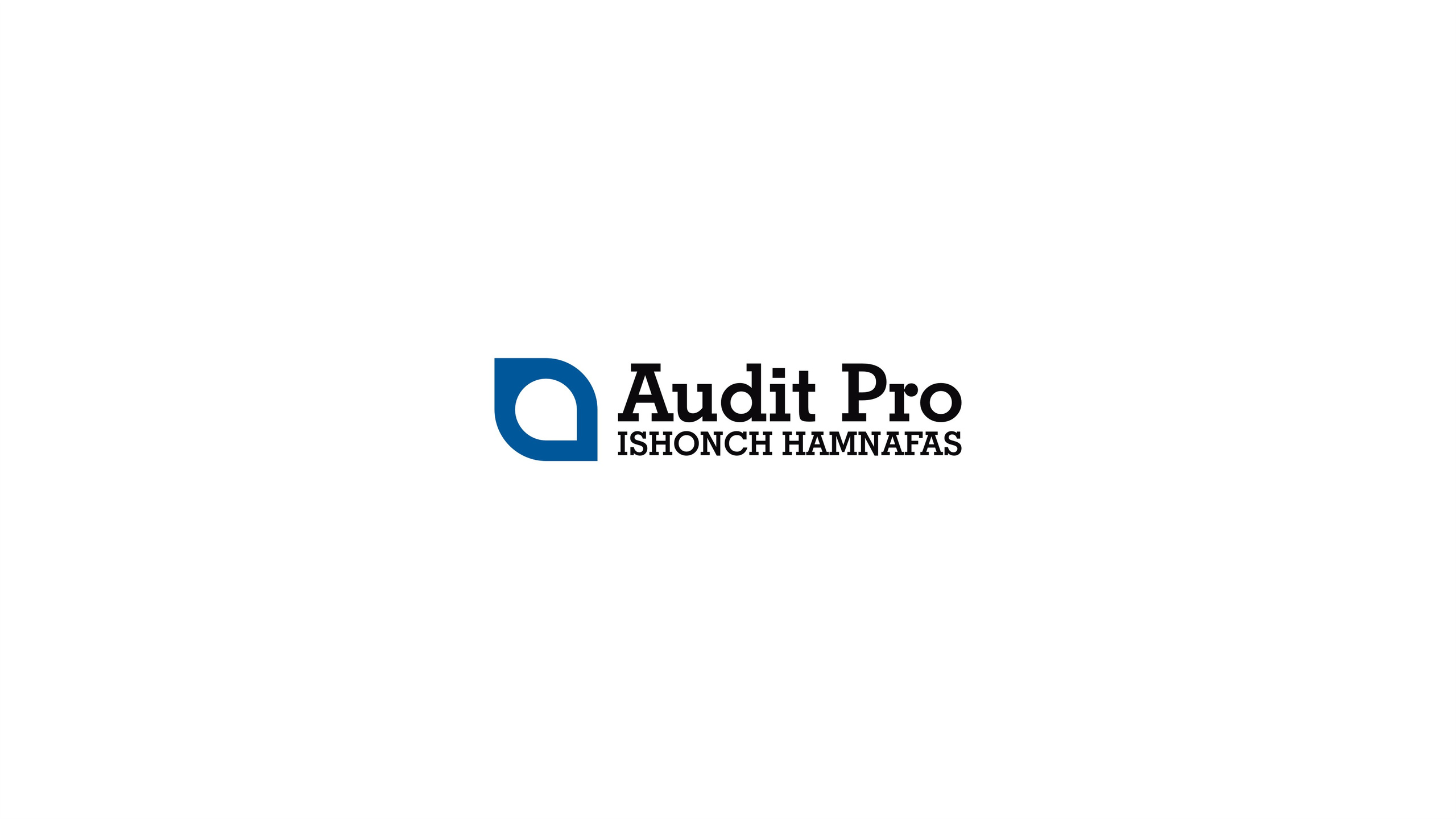 Audit Pro - Logotip. Dirov — Hayot Khodirov