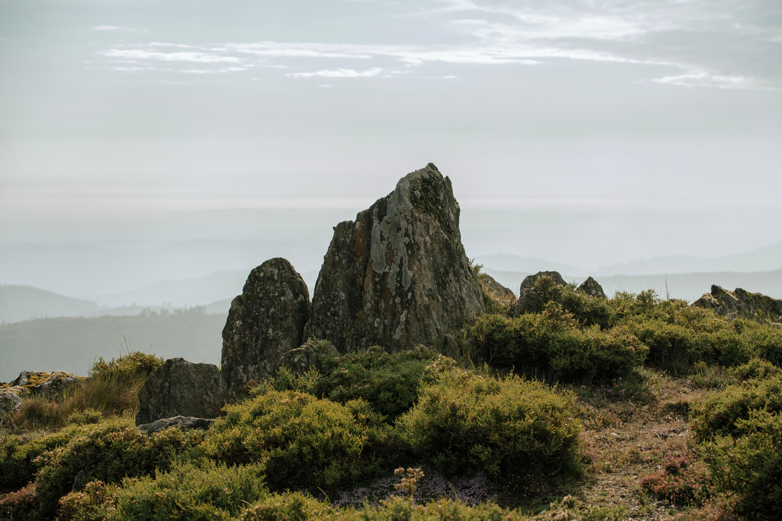 SOFIA and VALTER. Arouca. Anastasiia Antoniuk portrait, family and couple photographer, Portugal