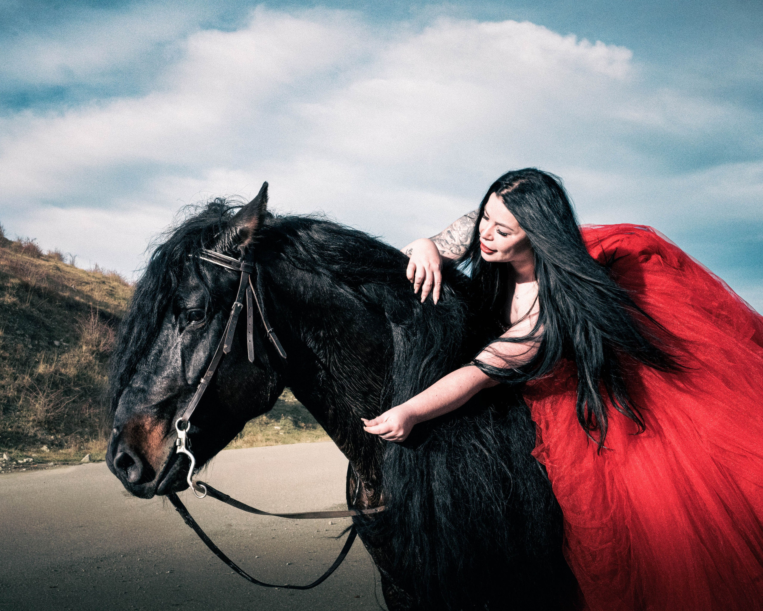 Portrait Gallery — Scarlet & Midnight. ShutterSquad.ro