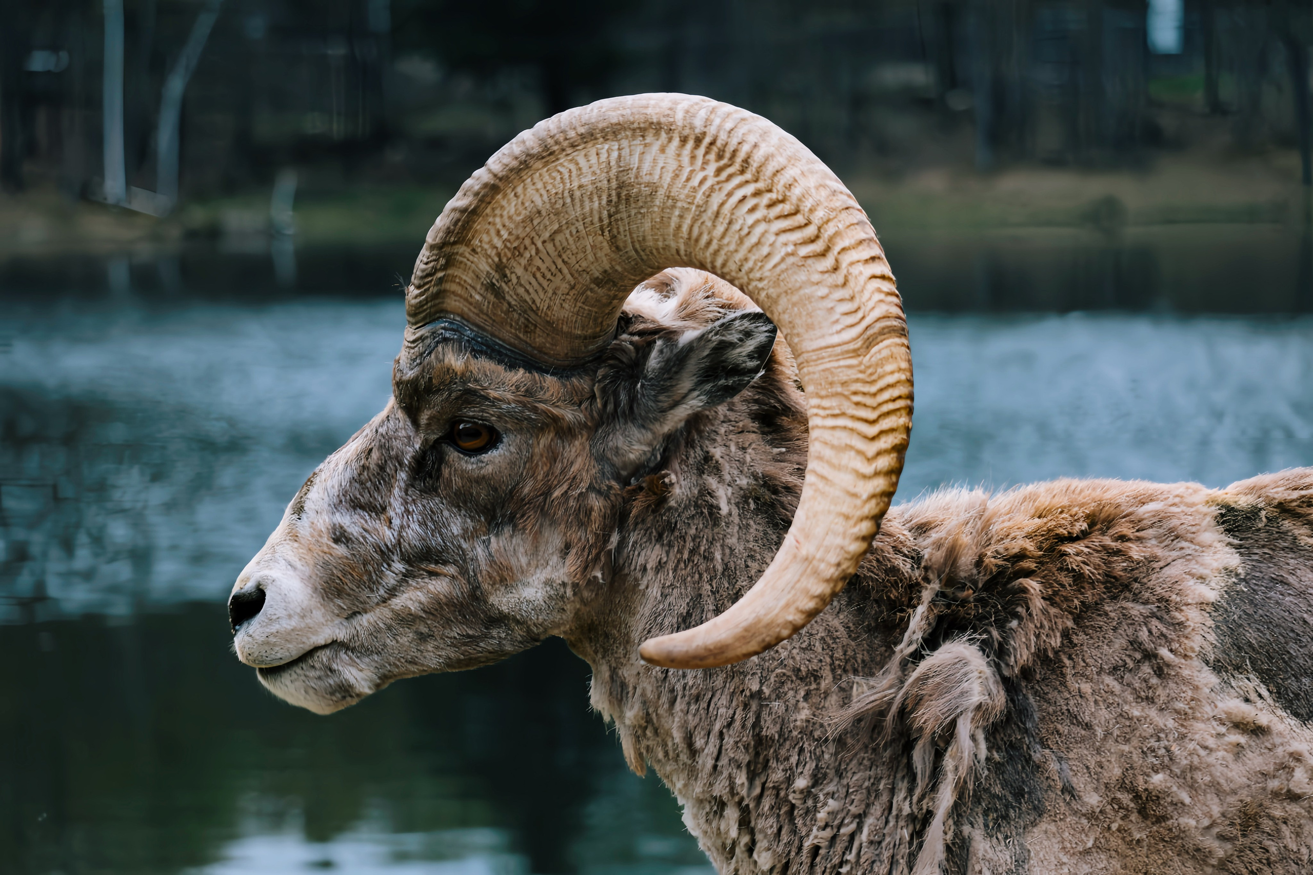 Nature & Wildlife. Navya Sispson | Portrait & Event Photography