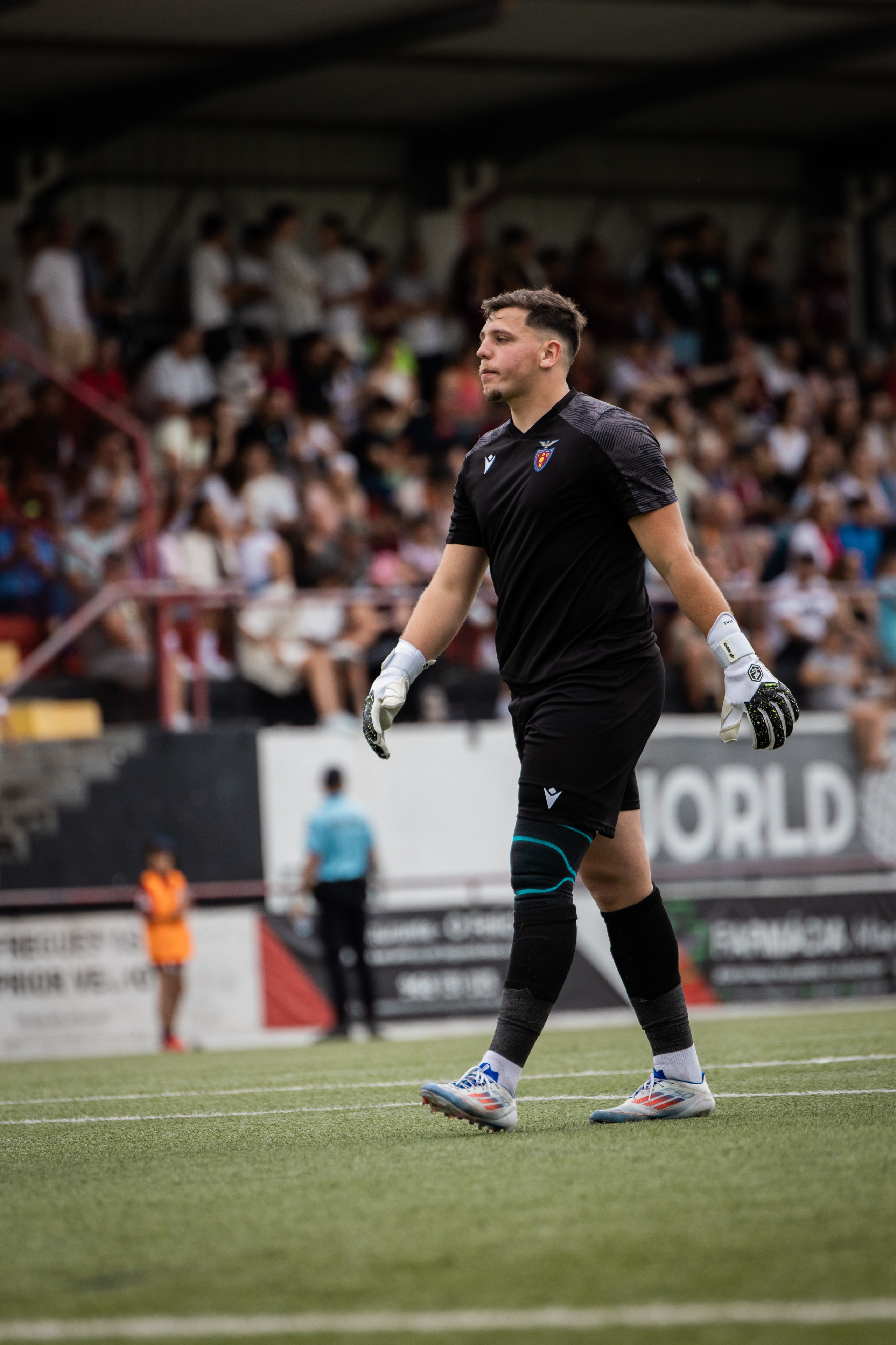 Final da taça AFL 2024/25. Retratos, eventos e Desporto