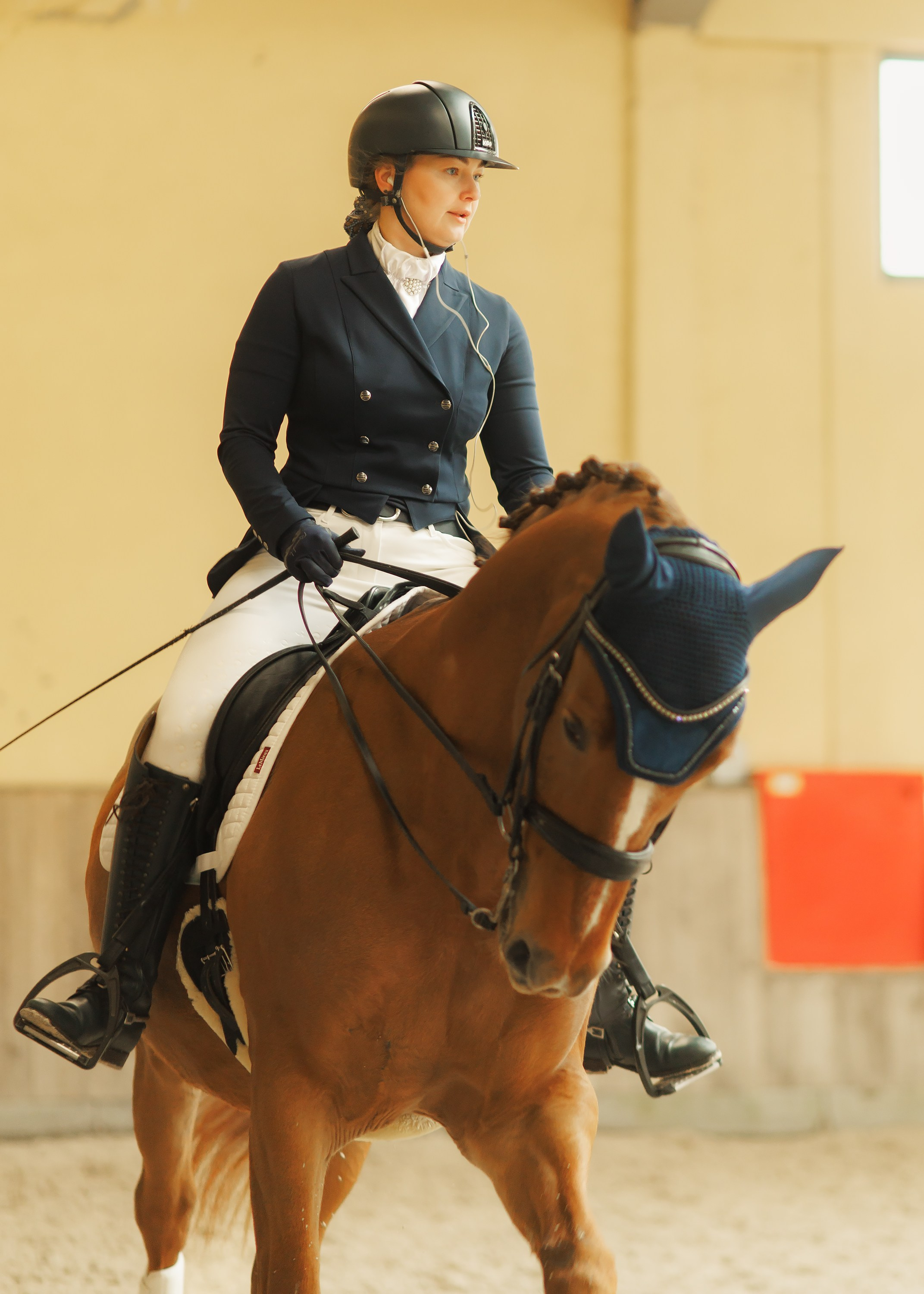 Fotografia koni Wrocław \ ujeżdżenie, Partynice. Kaja | fotograf we Wrocławiu | ludzie i psy