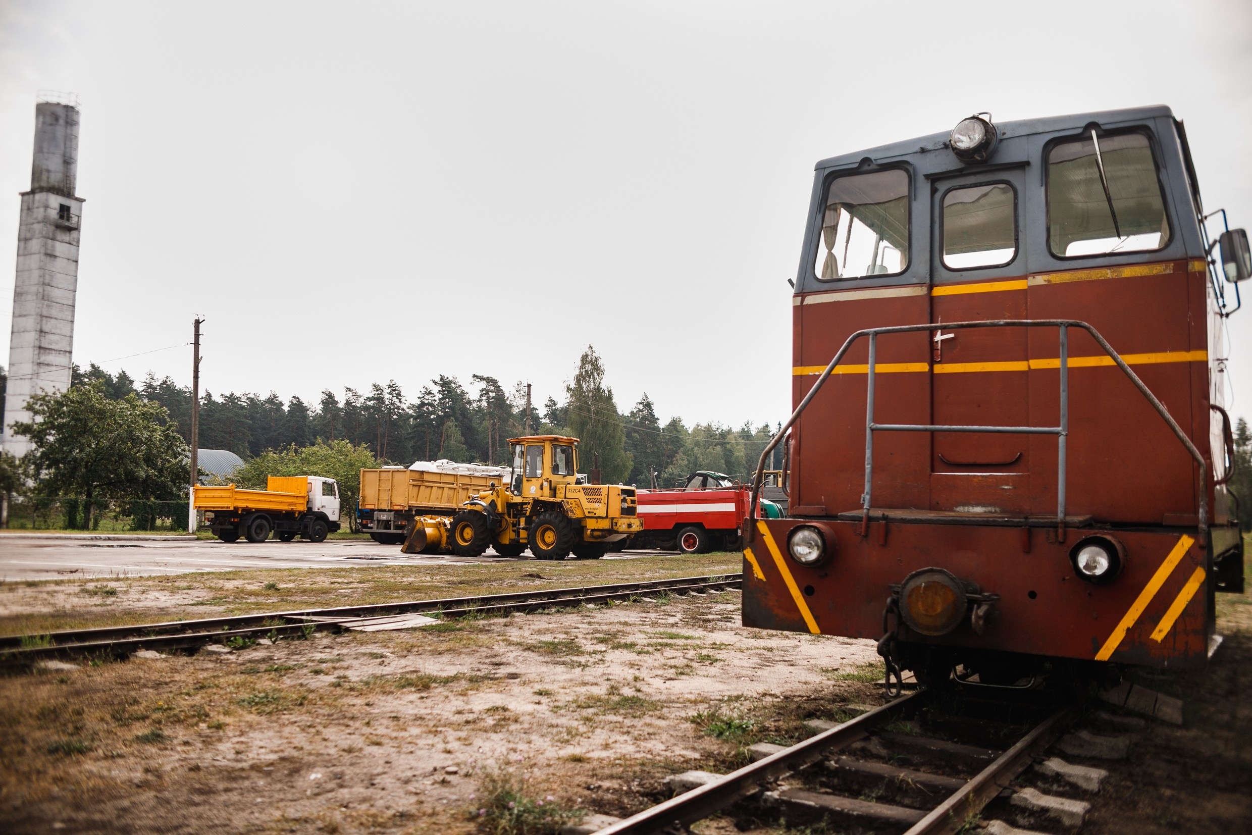 Narrow-gauge railway trip. Kaja | fotograf psów we Wrocławiu
