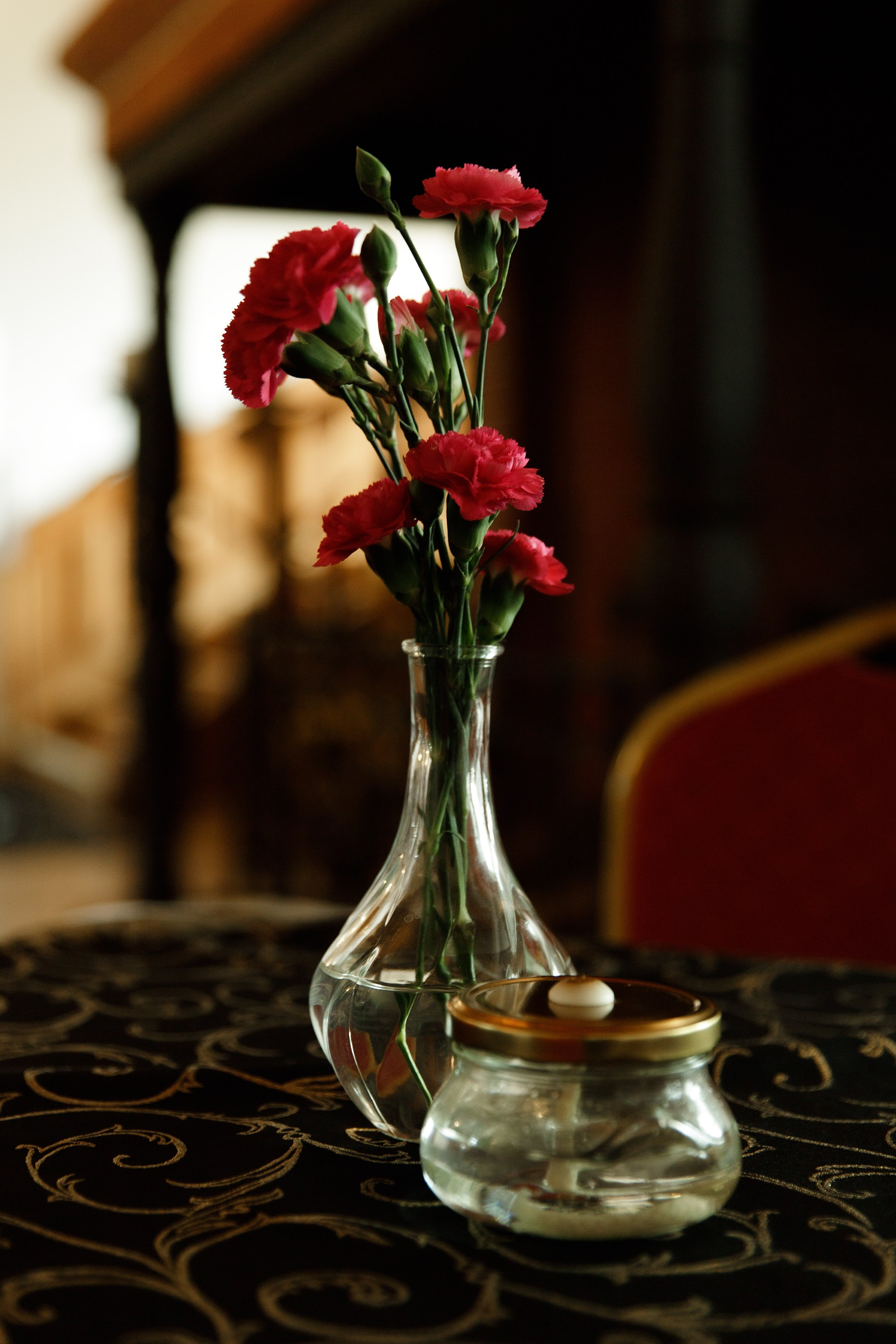 Oleśnica castle. Kaja | fotograf psów we Wrocławiu