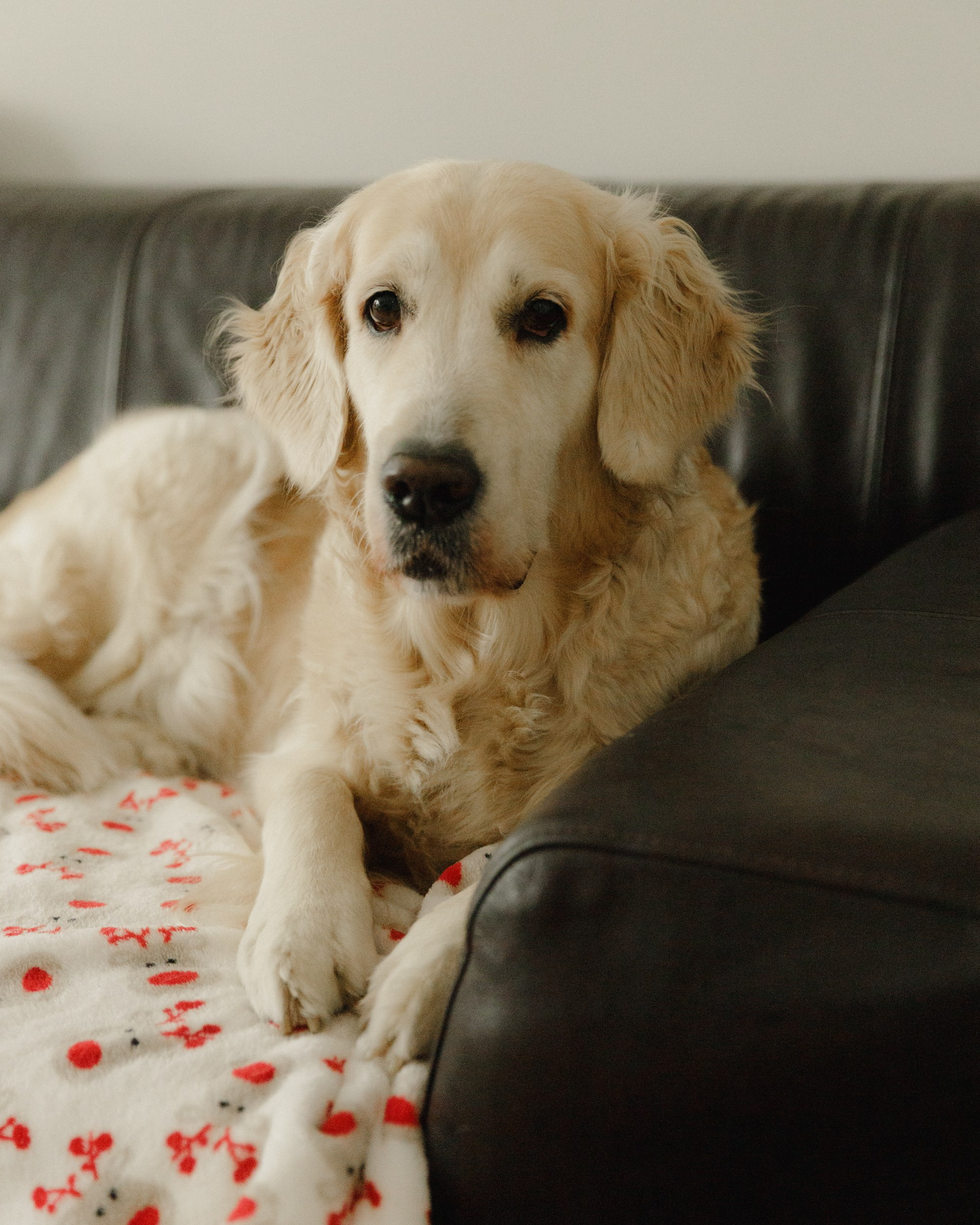 Candles | insta content. Kaja | fotograf we Wrocławiu | ludzie i psy