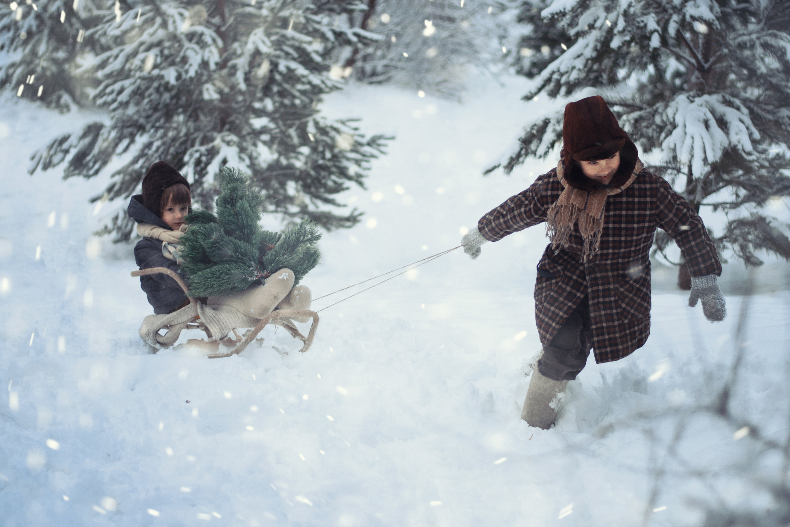 Рождественское чудо. Семейный и детский фотограф