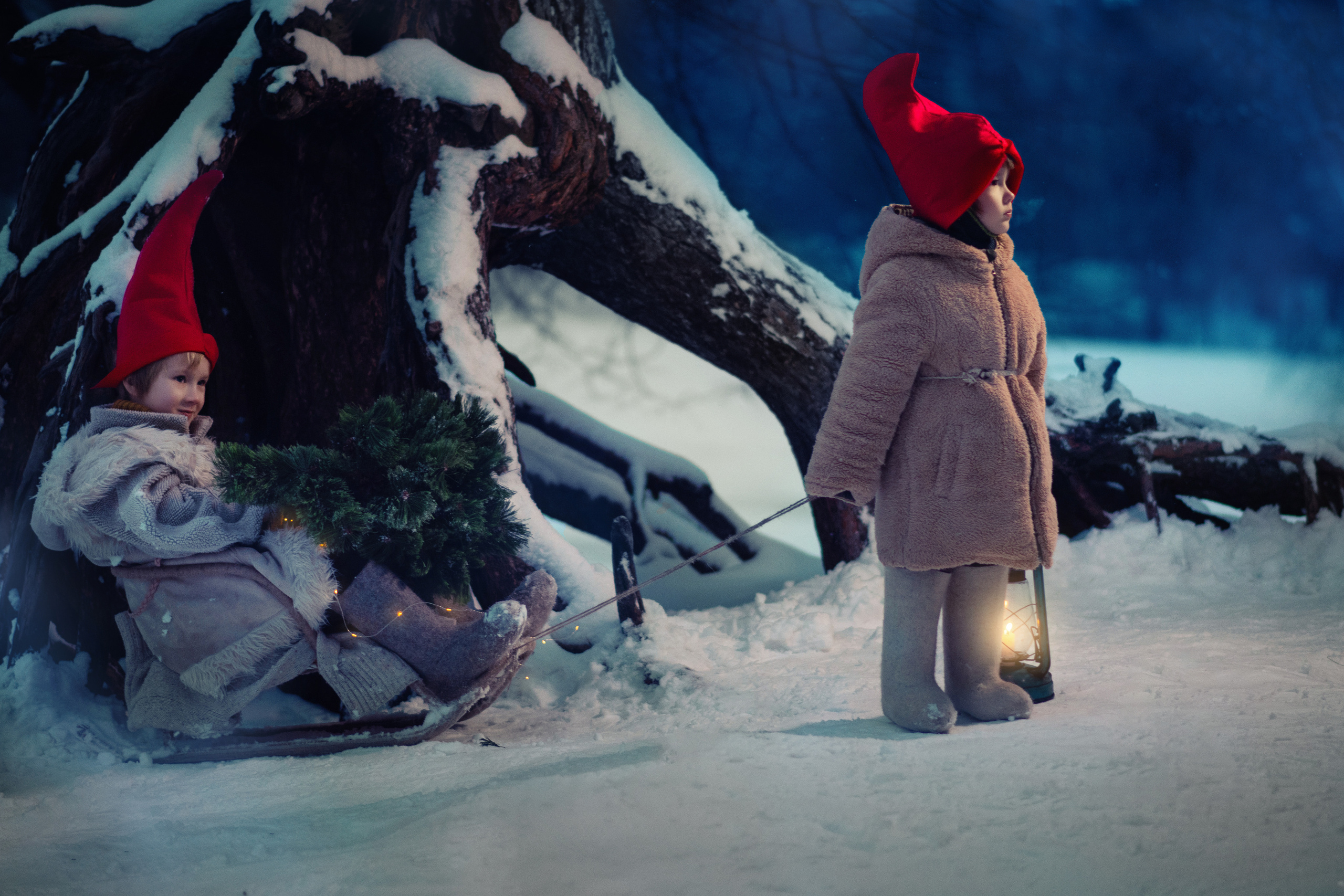 Рождественское чудо. Семейный и детский фотограф