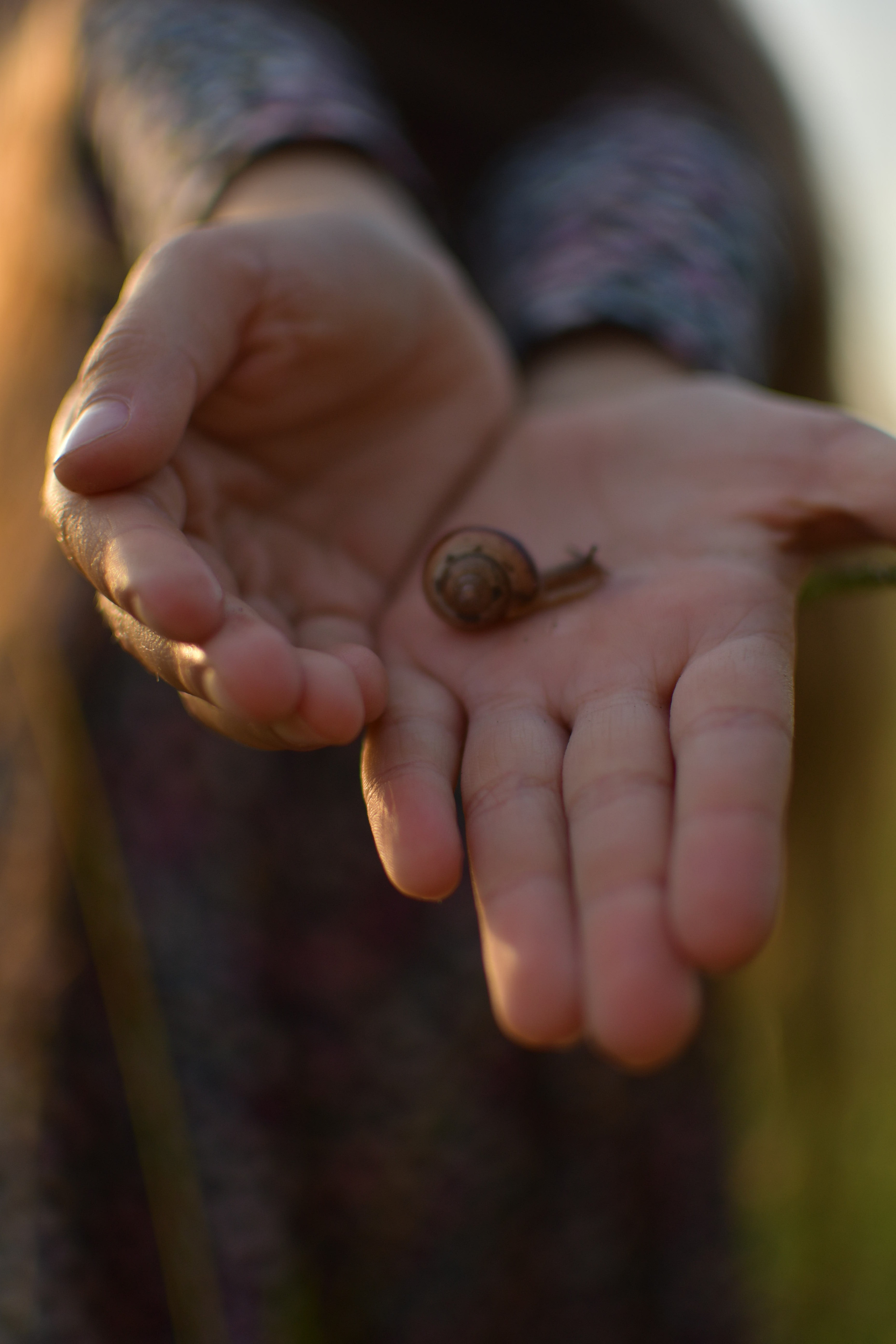 Деревенские забавы. Семейный и детский фотограф