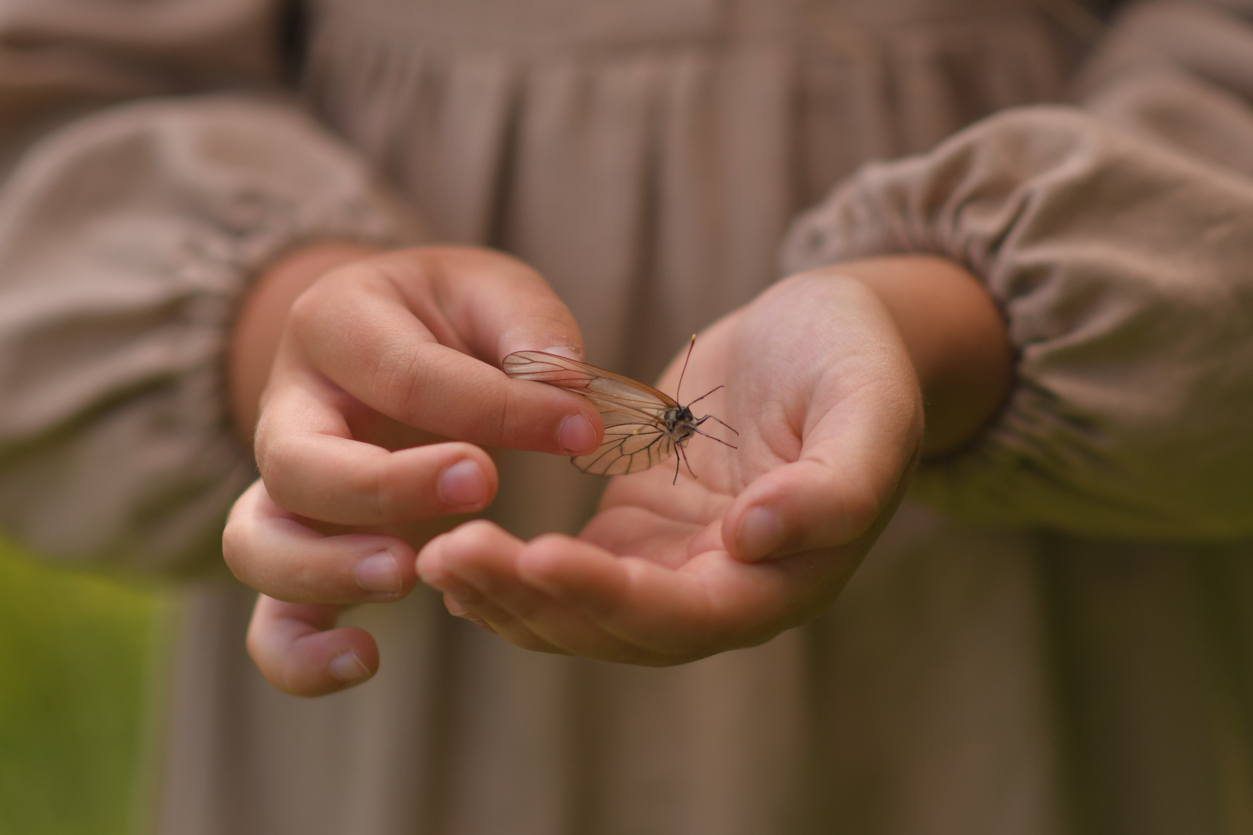 Деревенские забавы. Семейный и детский фотограф