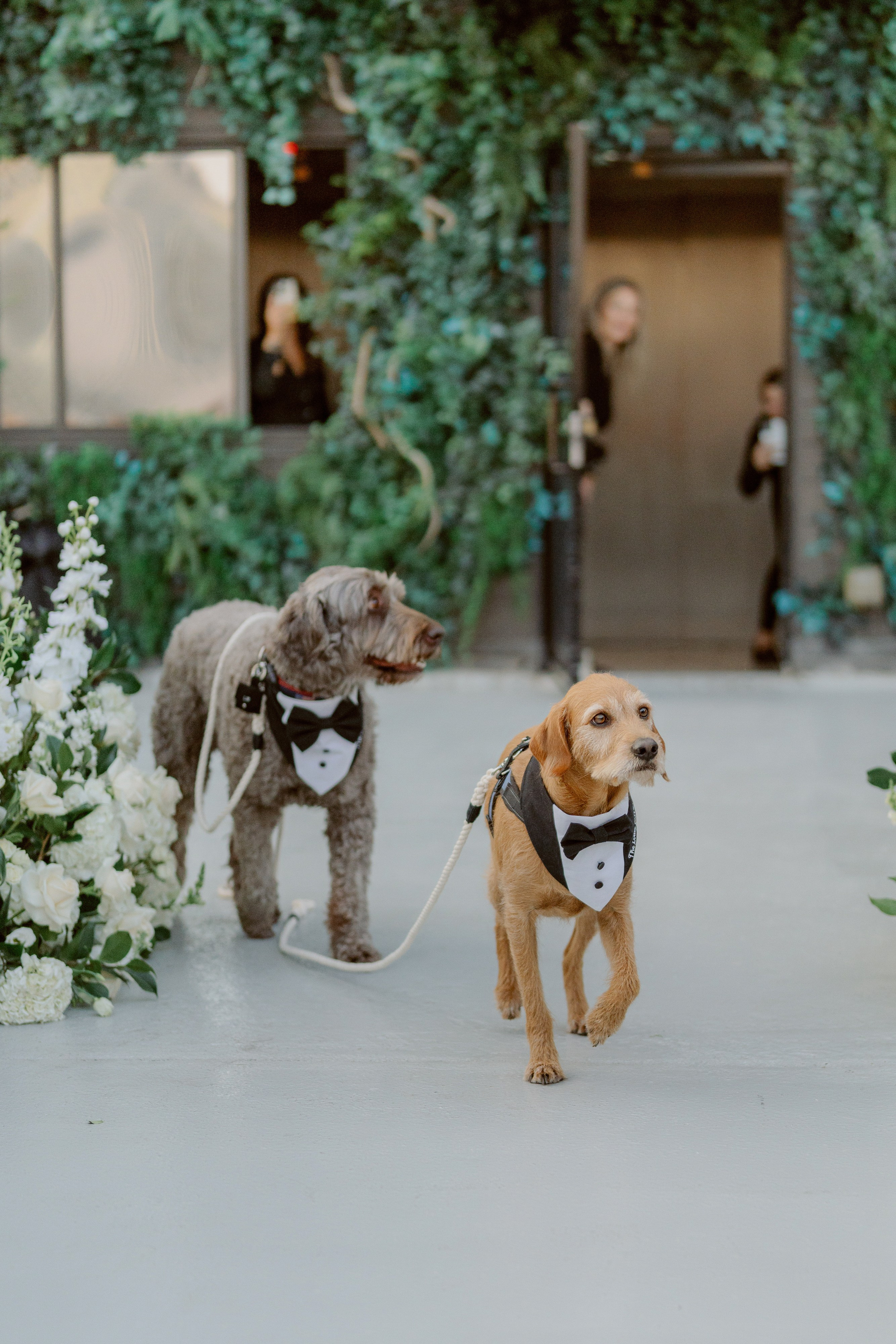 Jenna and Steven. Wedding photographer and videographer New York | New Jersey