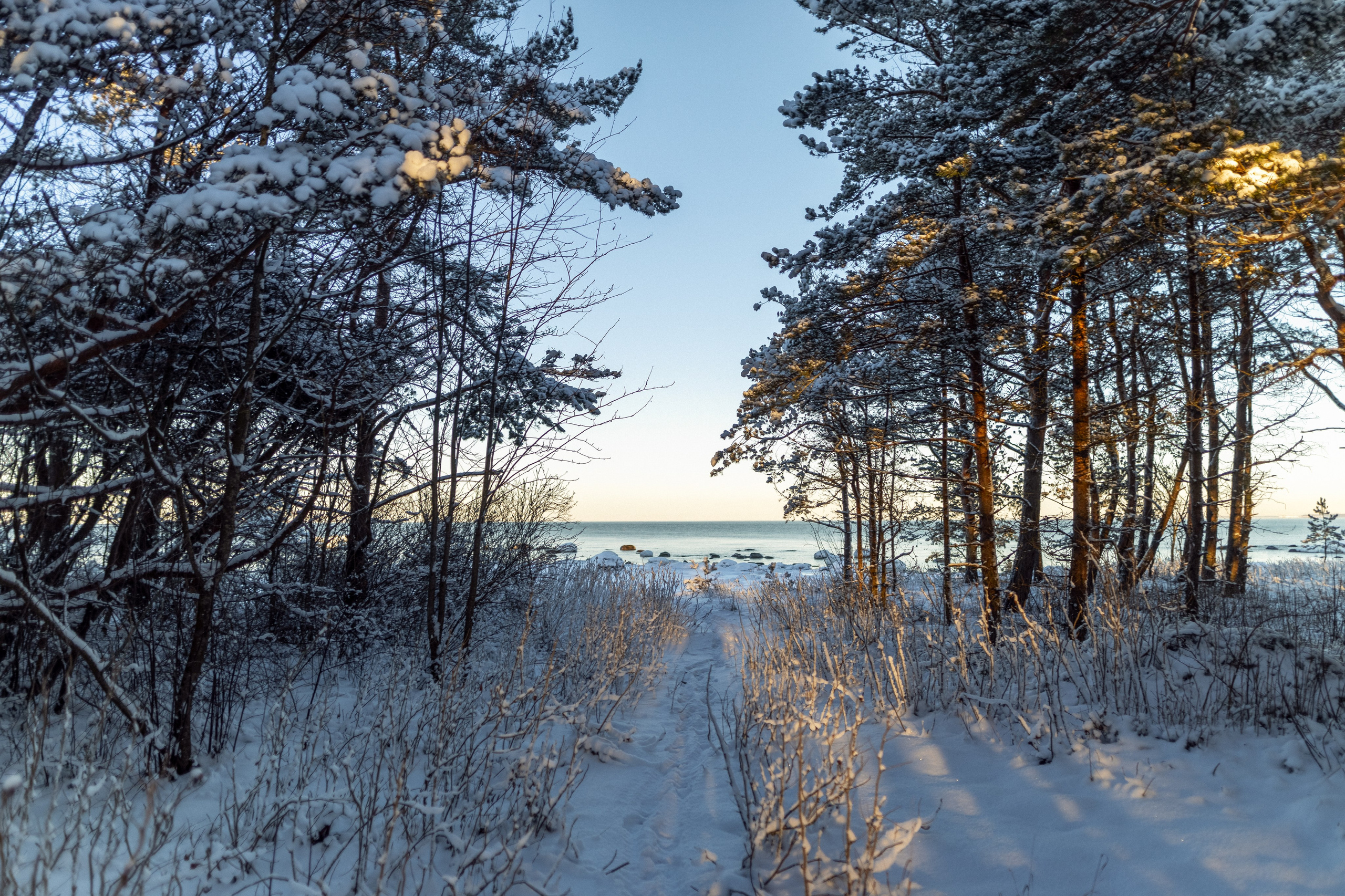 Street Photography. Portree- ja perefotograaf Anton Hansen Tallinnas, Eestis