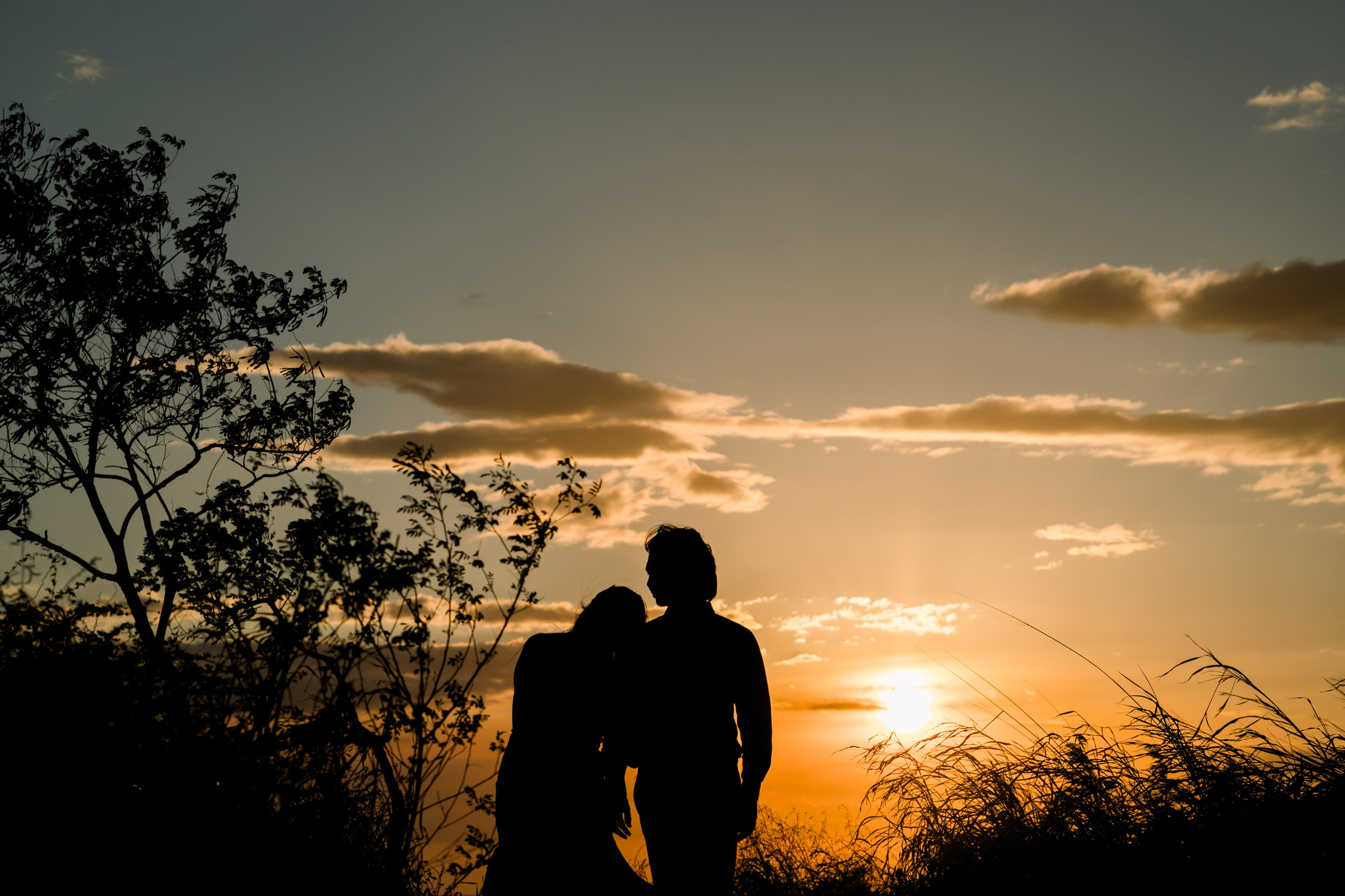 Portfolio. Woody Weddings