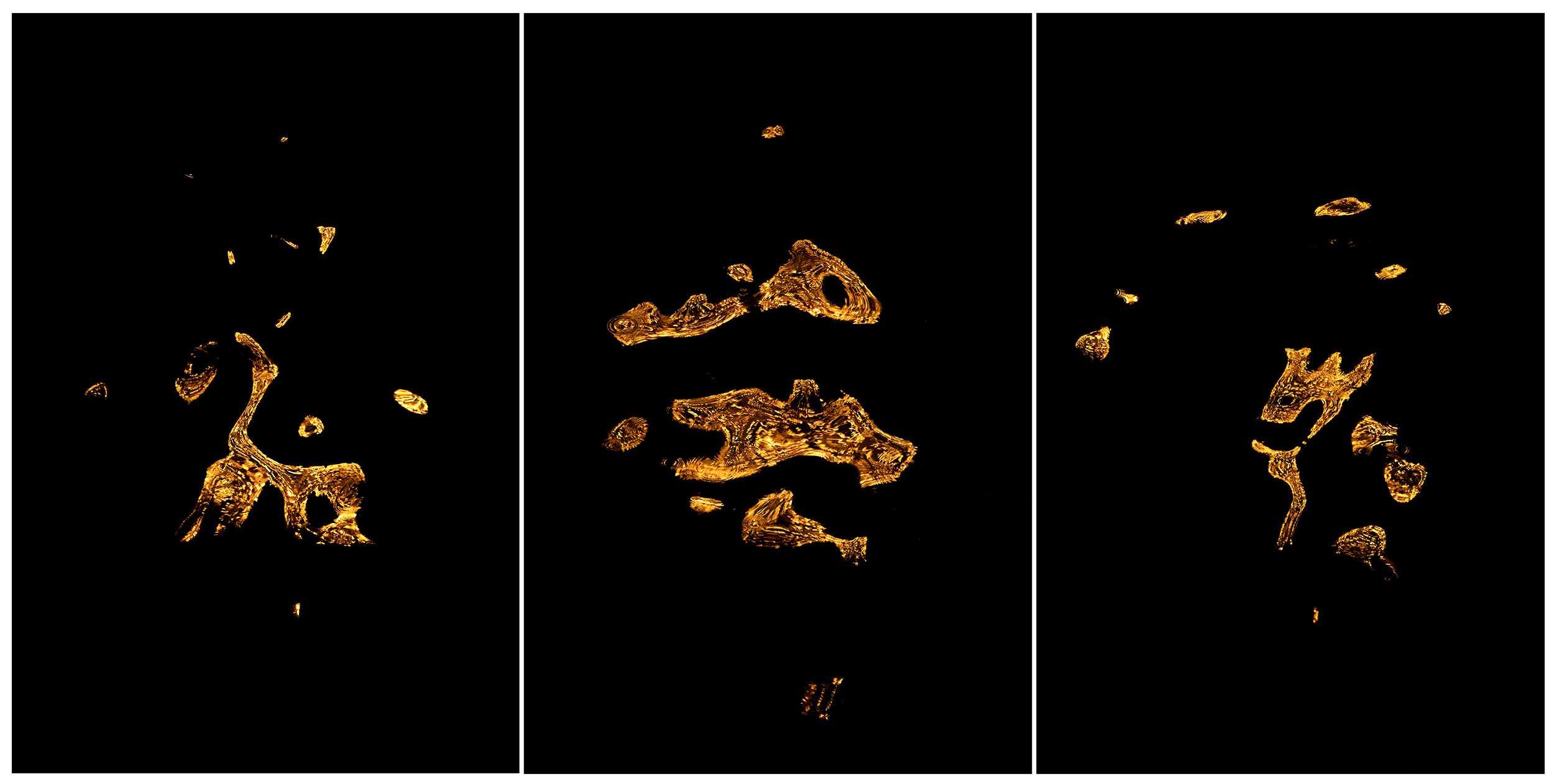 Anna Biletska Subconscious Dream