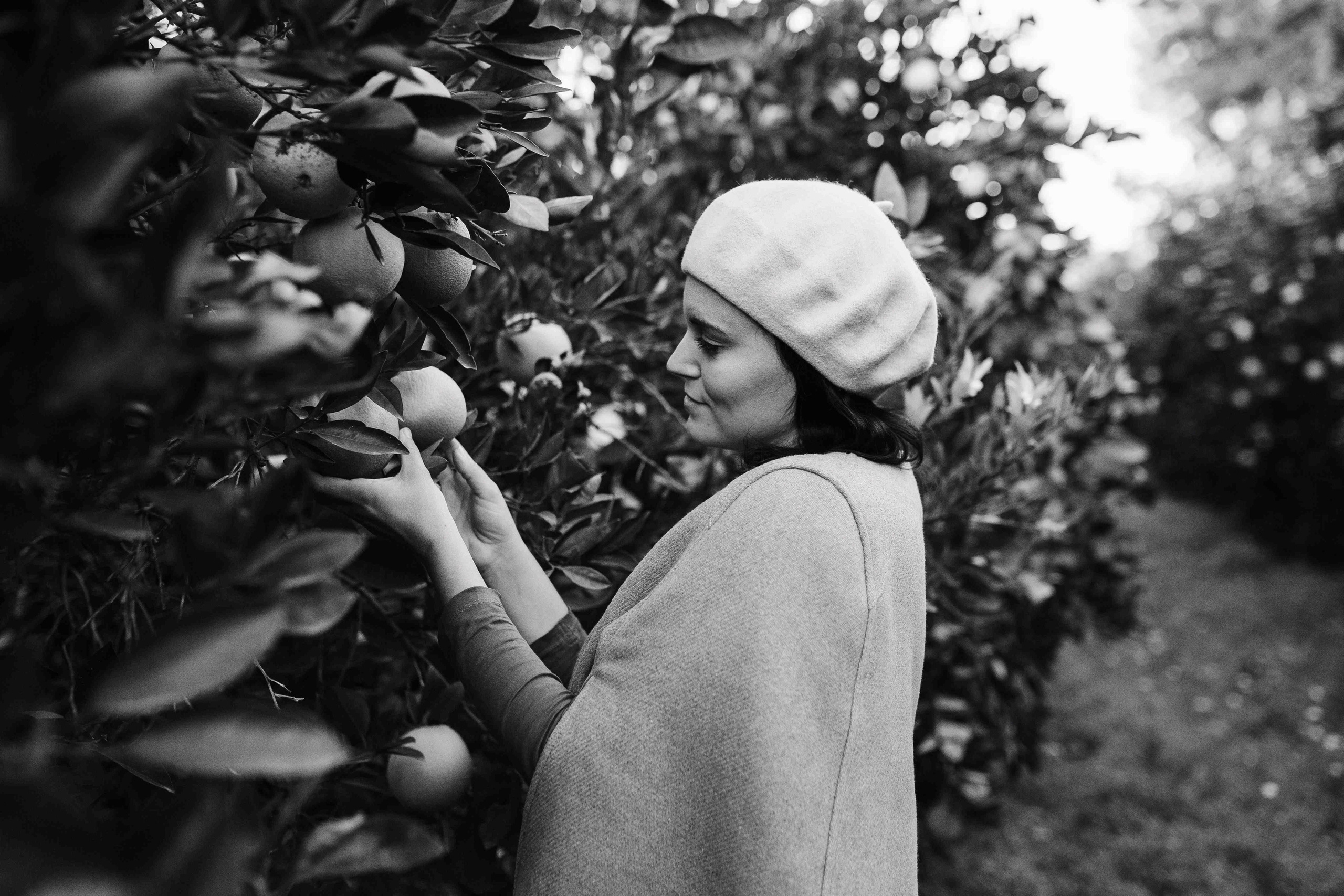 MANDARNINE GARDEN. Https://shi-photo.com/