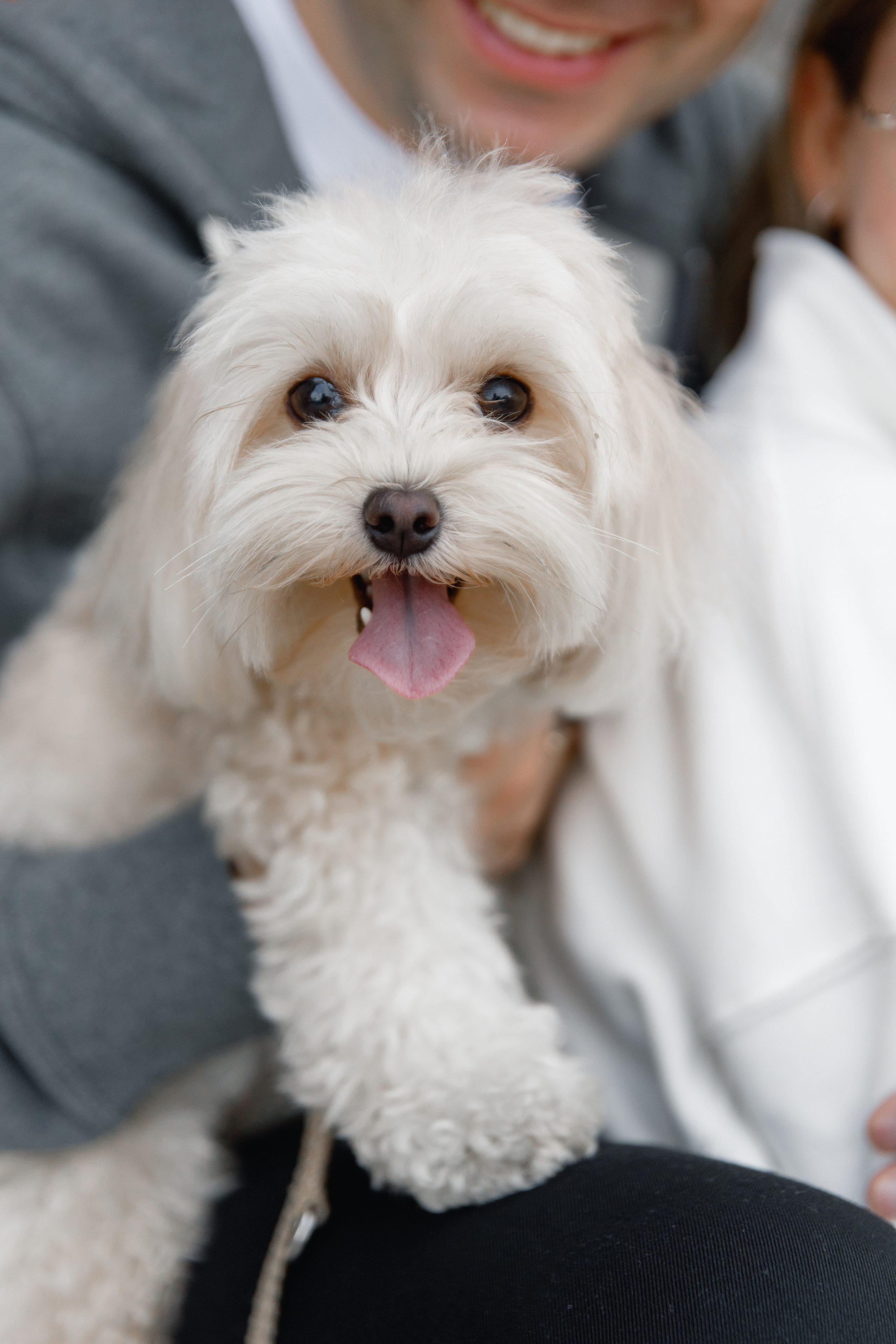 Wedding photographer Italy Rome, Tuscany, Lake Como, Sicily, Puglia. Wedding Photographer Rome Tuscany Como Sicily Puglia Amalfy Italy- Oksana Savenchuk