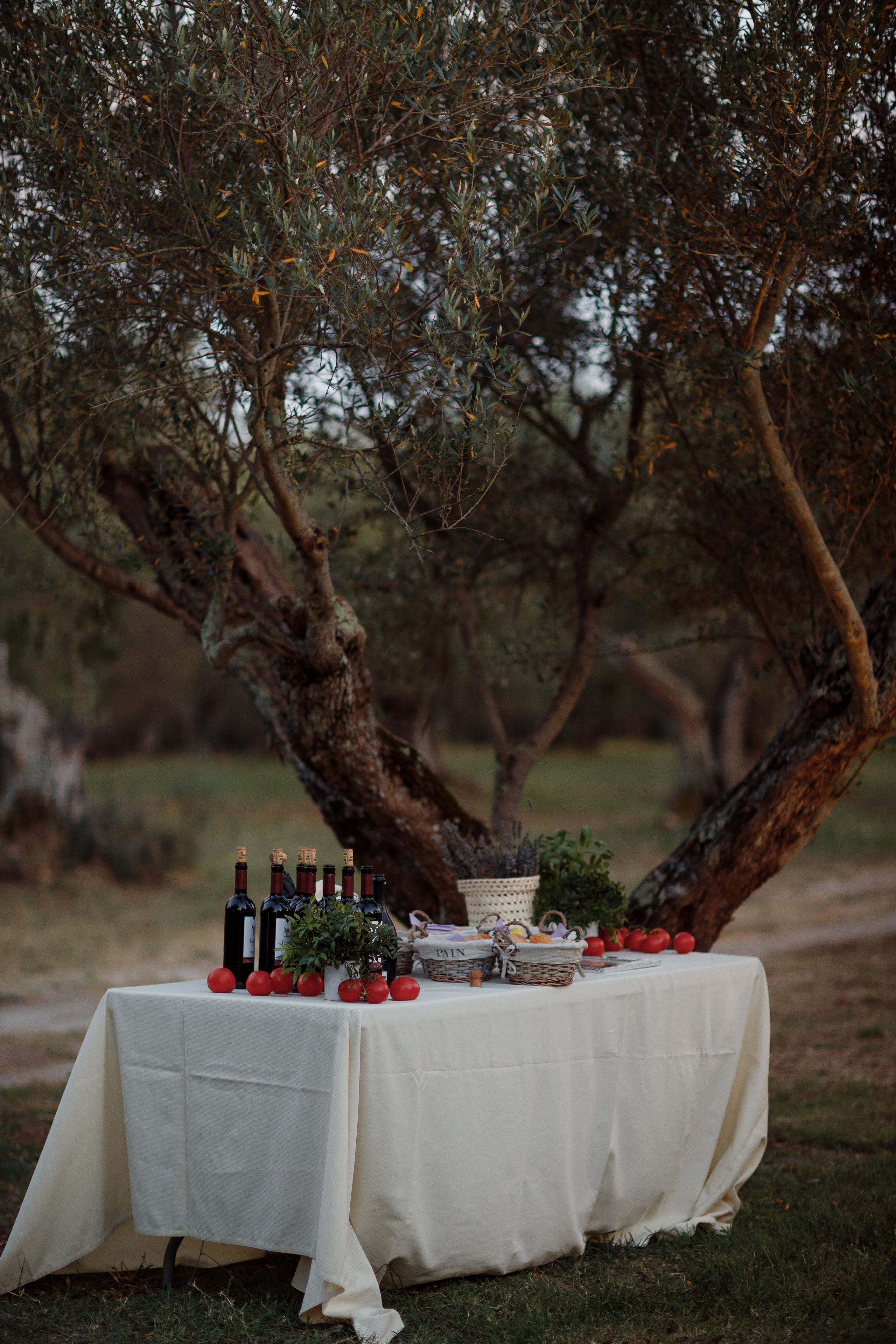 Wedding Tuscany. Wedding Photographer Rome Tuscany Como Sicily Puglia Amalfy Italy- Oksana Savenchuk