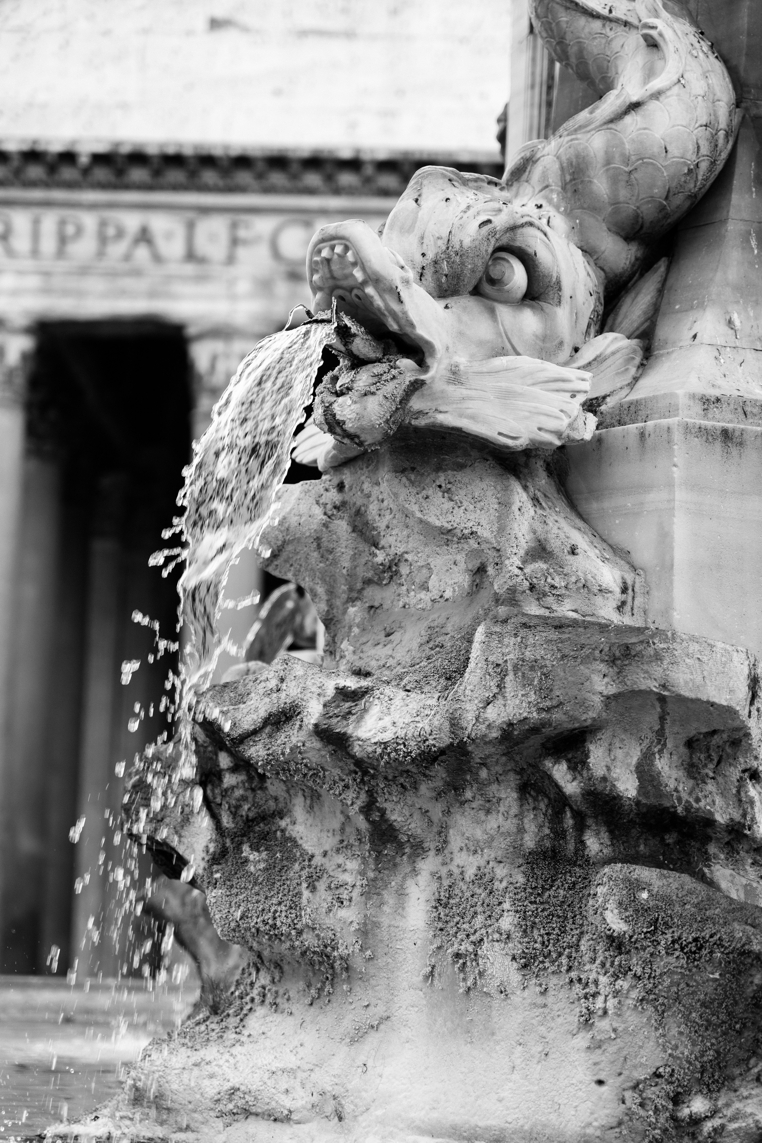 Wedding photographer in Rome. Wedding Photographer Rome Tuscany Como Sicily Puglia Amalfy Italy- Oksana Savenchuk